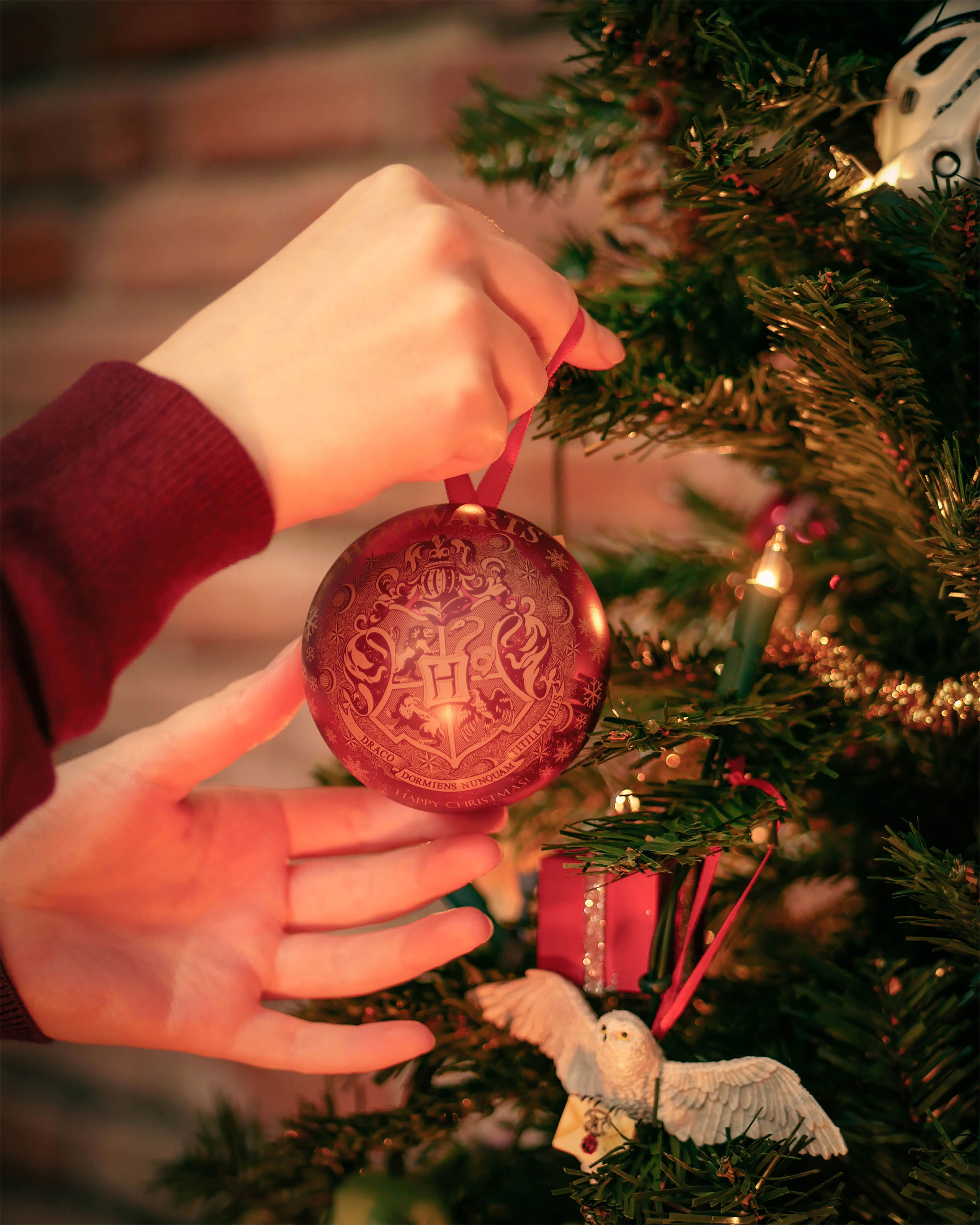 Harry Potter - Boule de Noël blason de Poudlard avec collier Vif d'Or