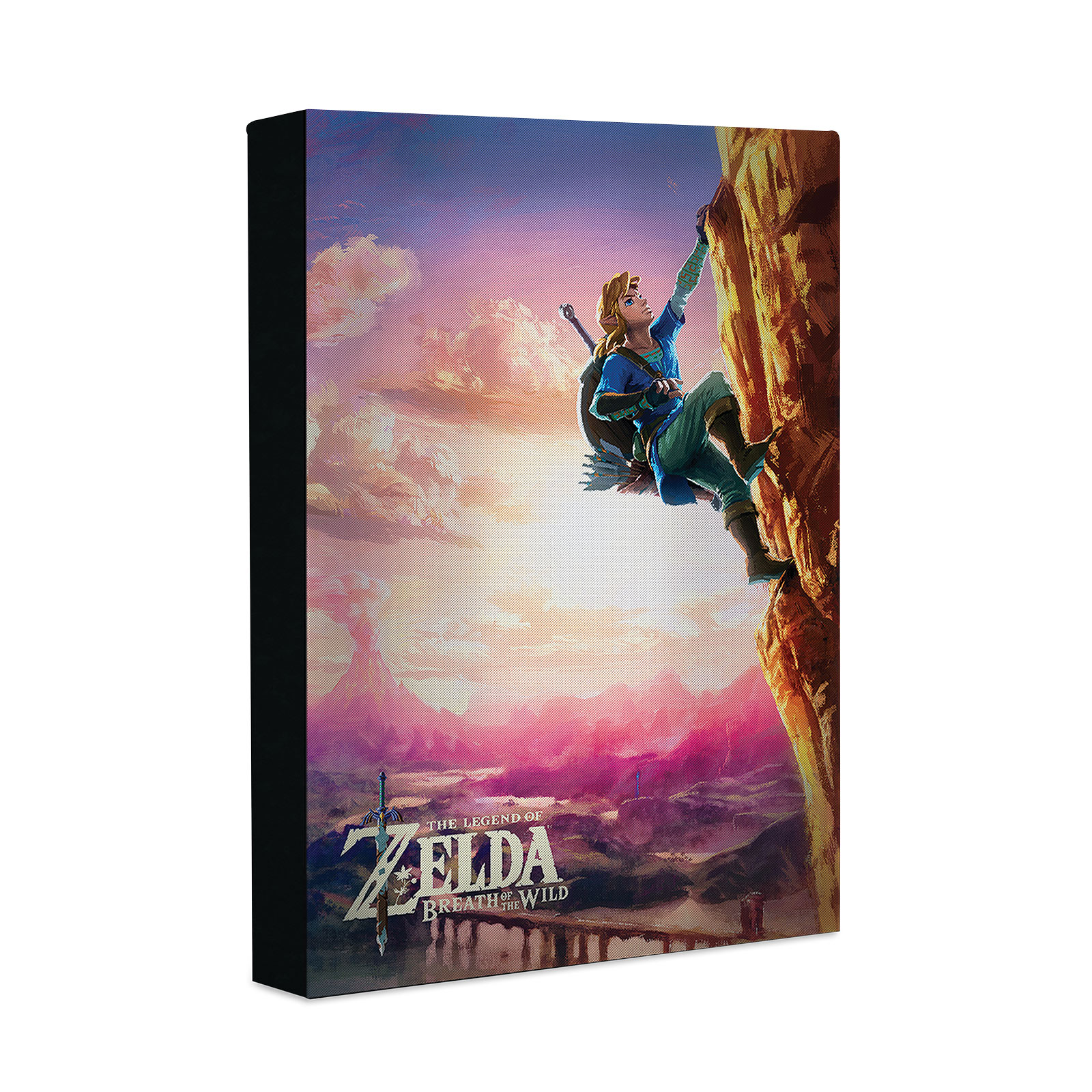 Zelda - Link Wandbild mit Licht