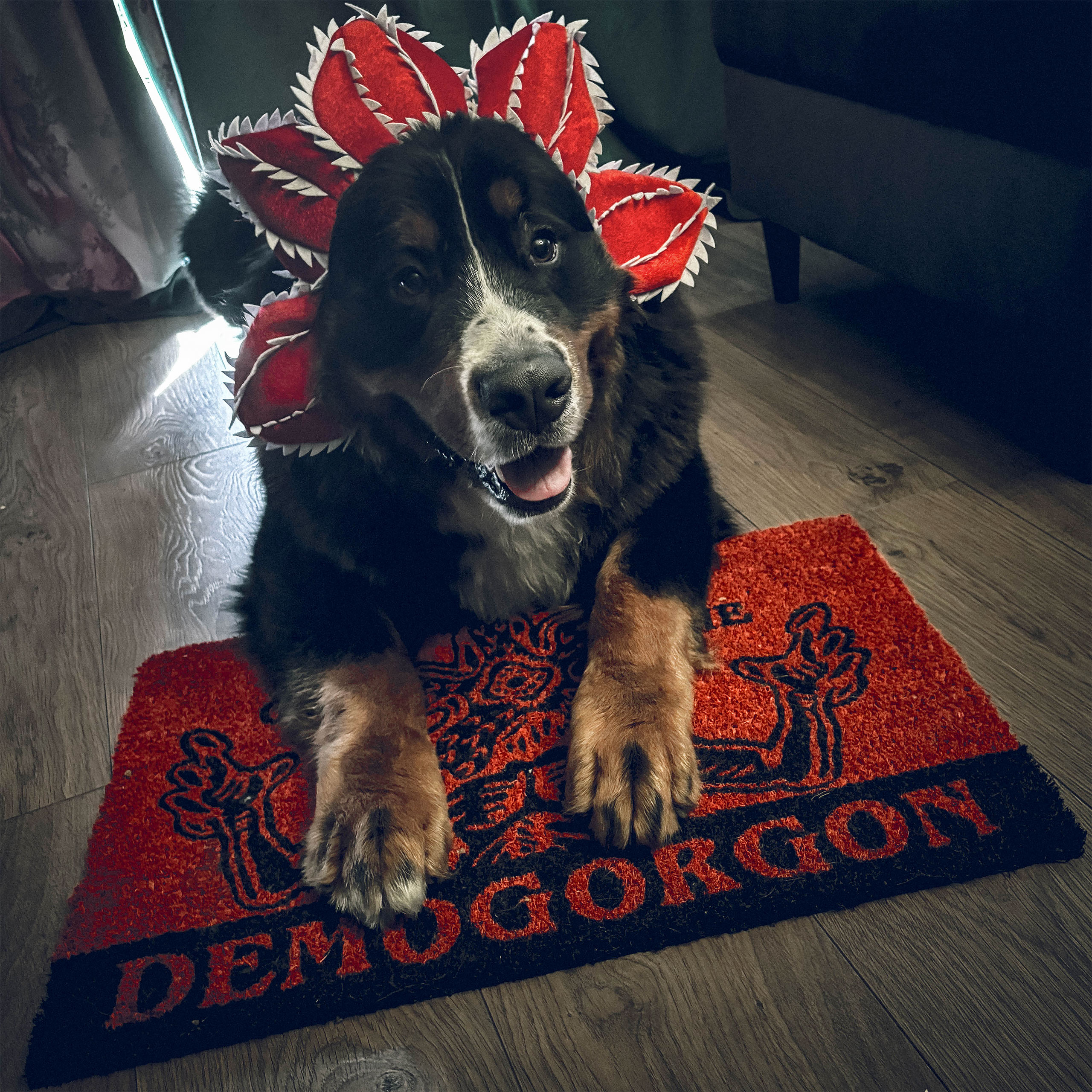 Stranger Things 4 - Beware Demogorgon Doormat