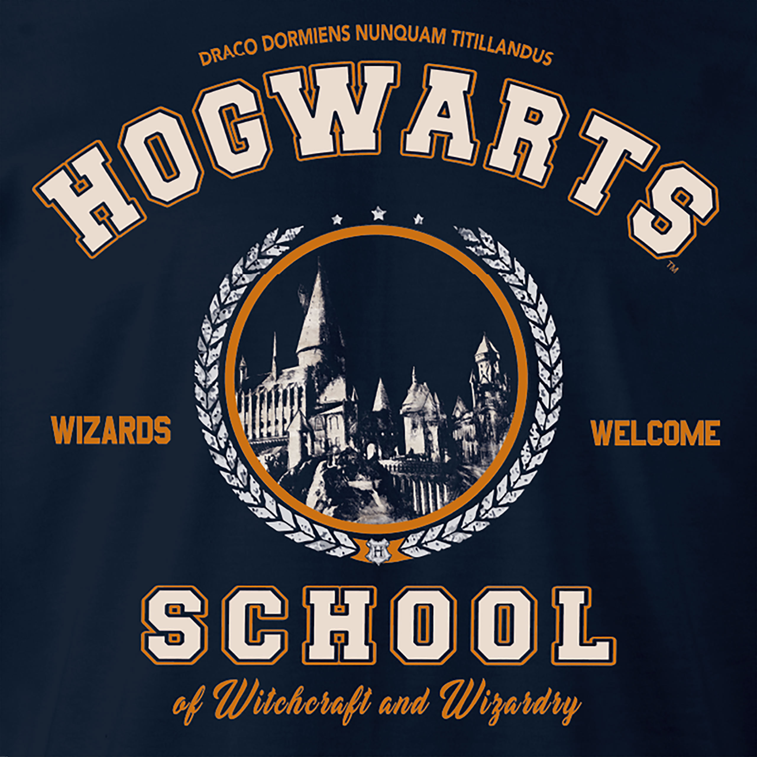 Harry Potter - Hogwarts School Hoodie Blue