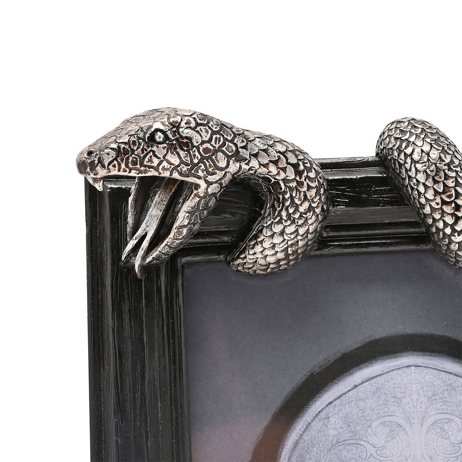 Harry Potter - Marco de fotos Nagini