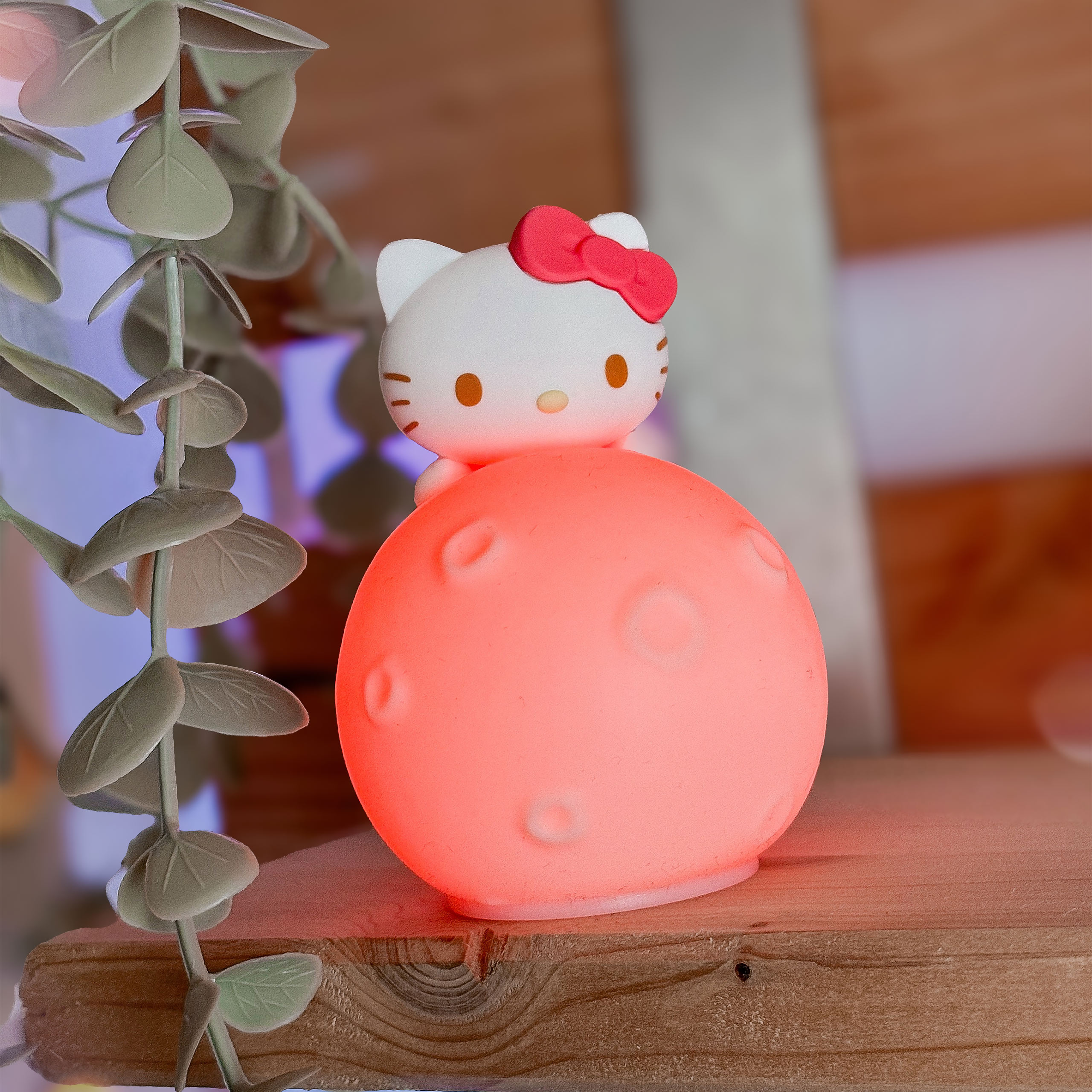 Sanrio - Hello Kitty and Friends Mystery Mini Night Light