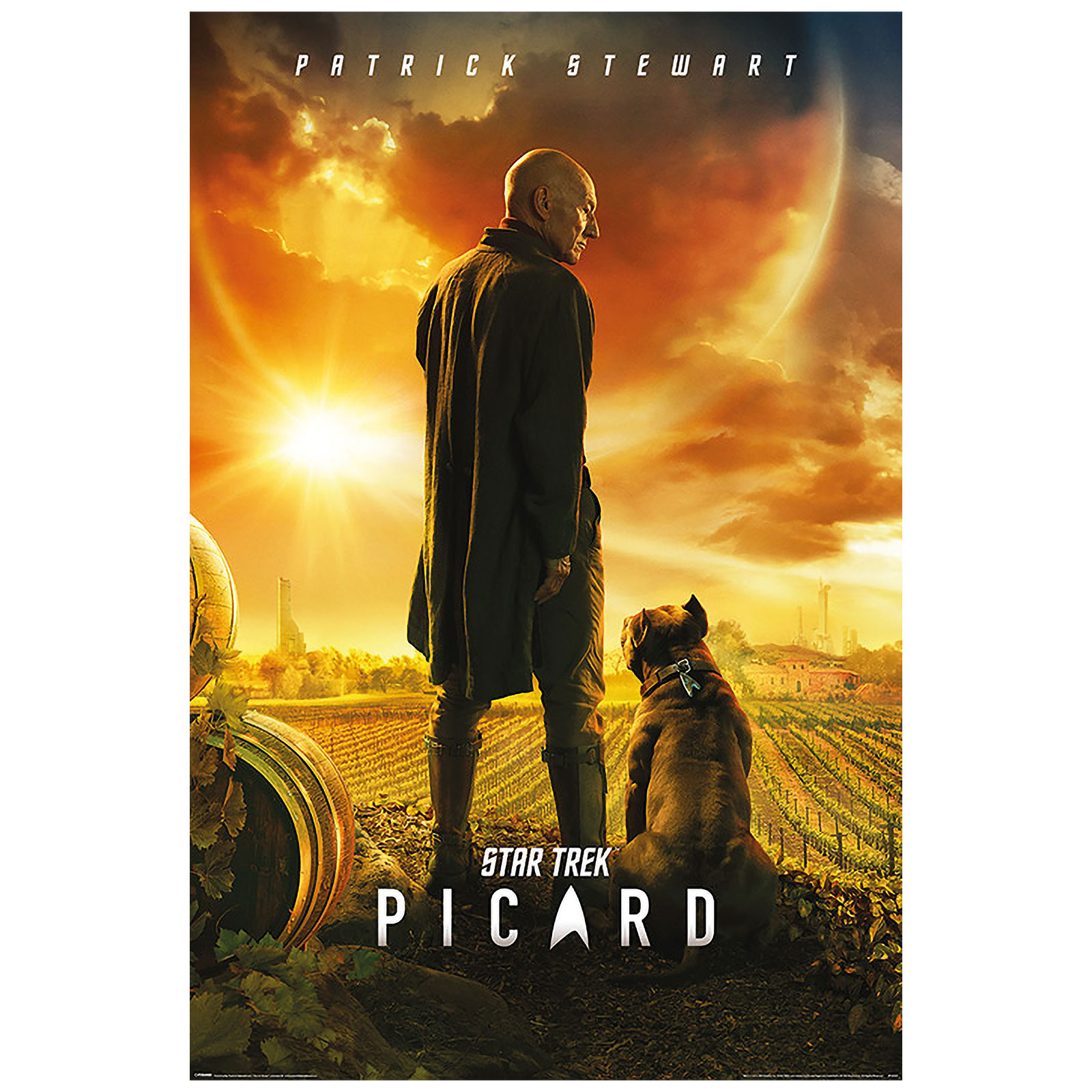 Star Trek - Picard Maxi Poster