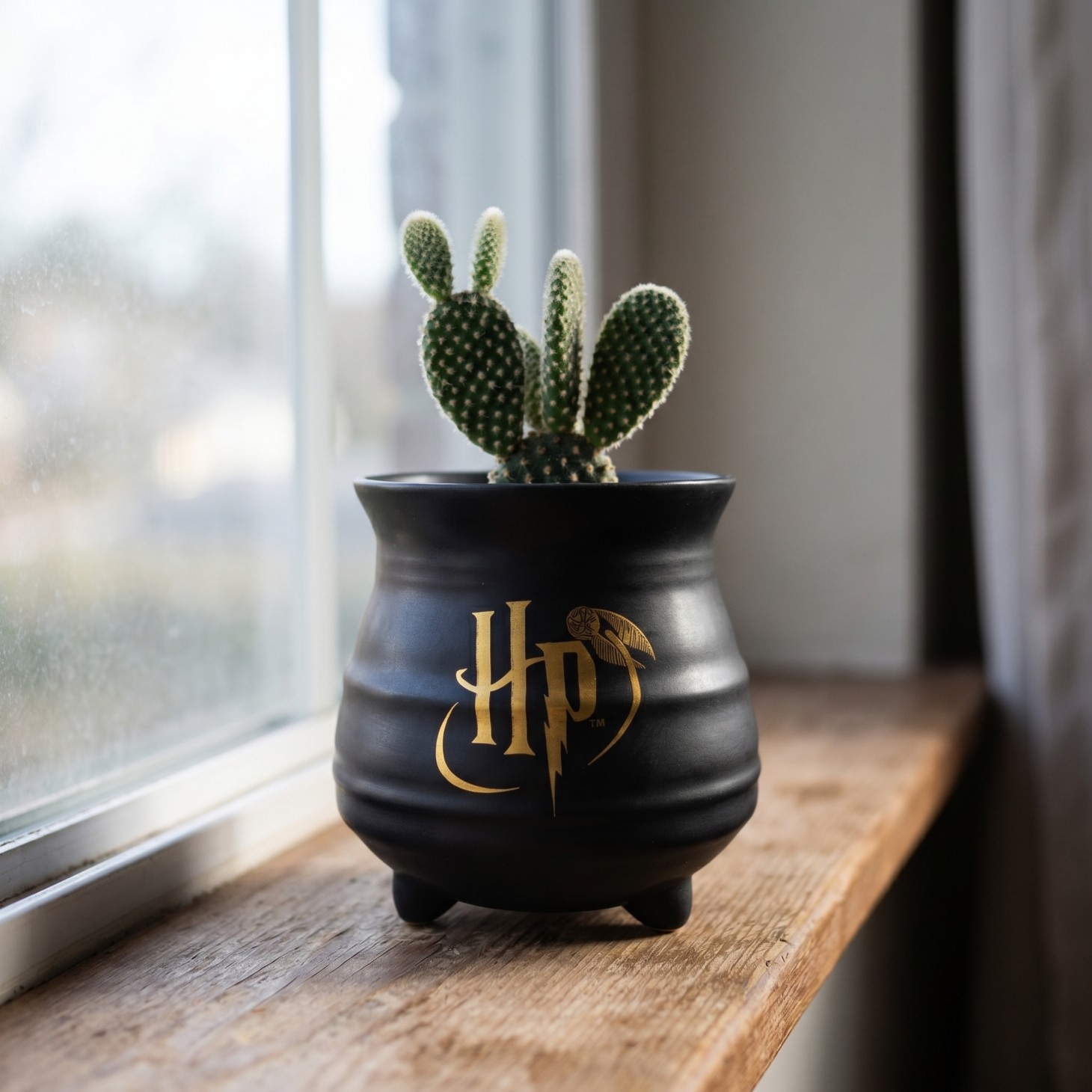 Harry Potter - Pot de fleurs Chaudron de Poudlard