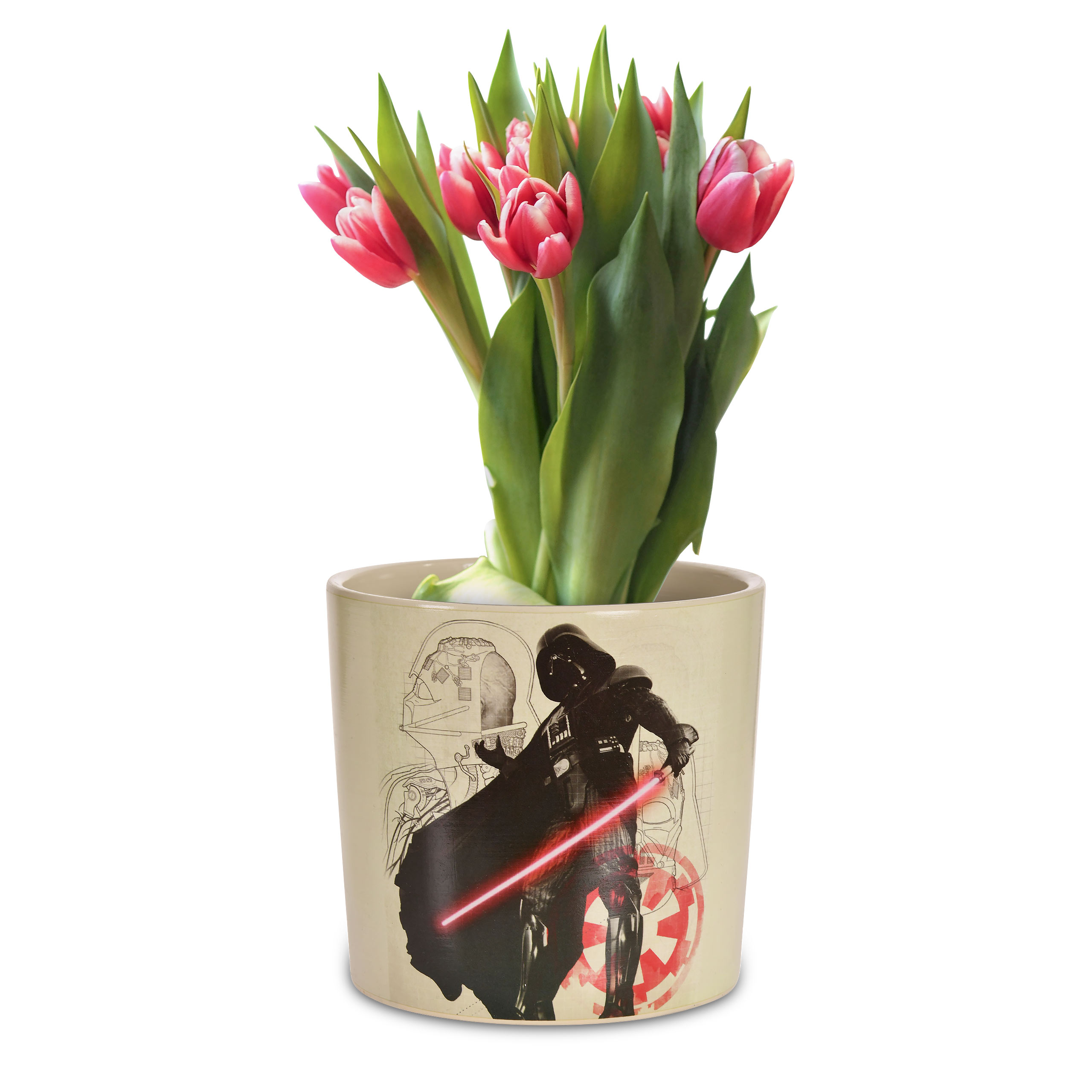 Star Wars - Darth Vader Bloempot