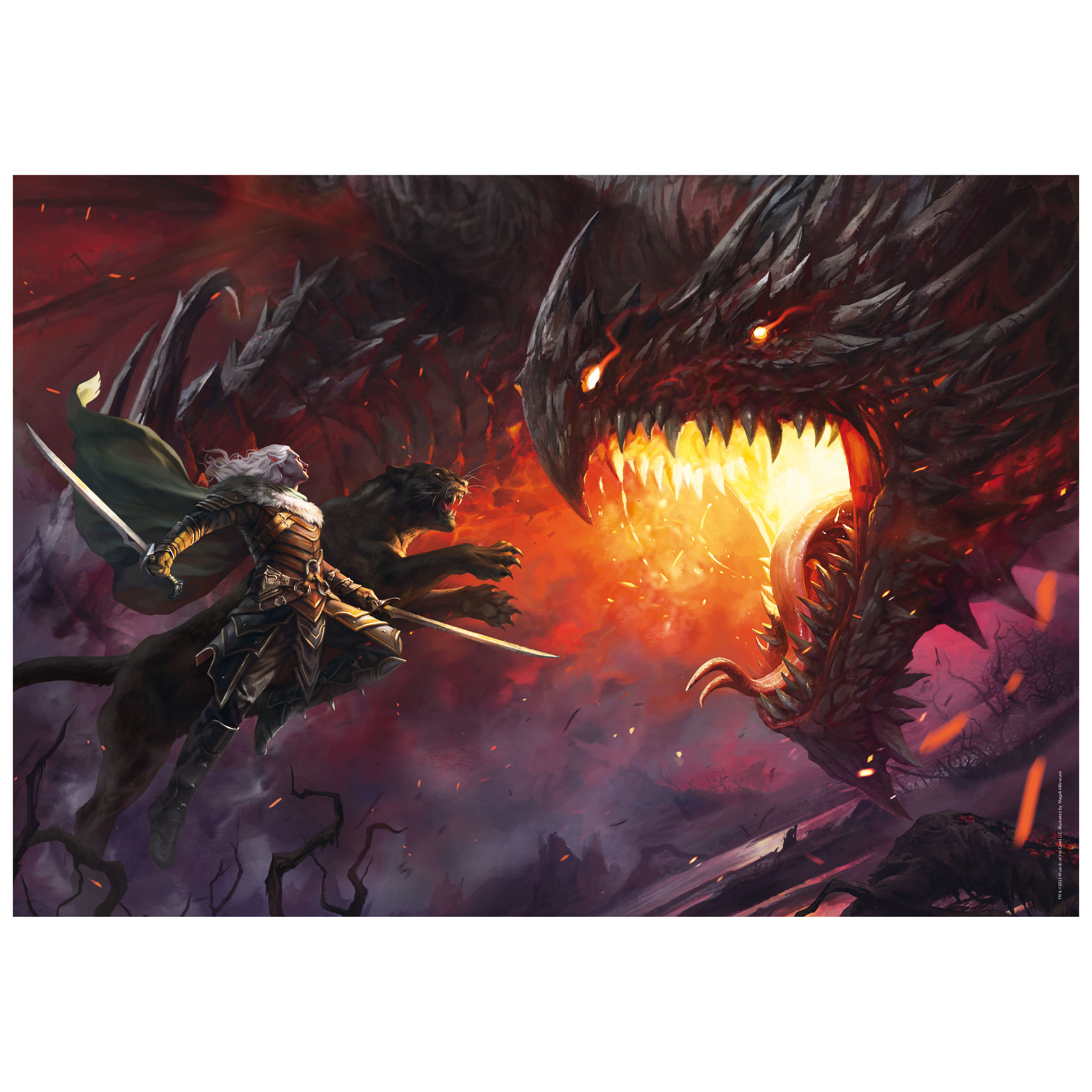 Dungeons & Dragons - Puzzle de Combat