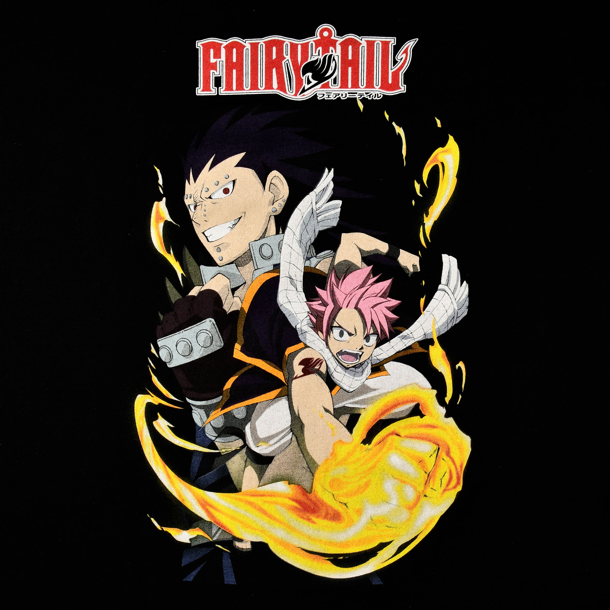 Fairy Tail - The Dragon Search T-Shirt schwarz