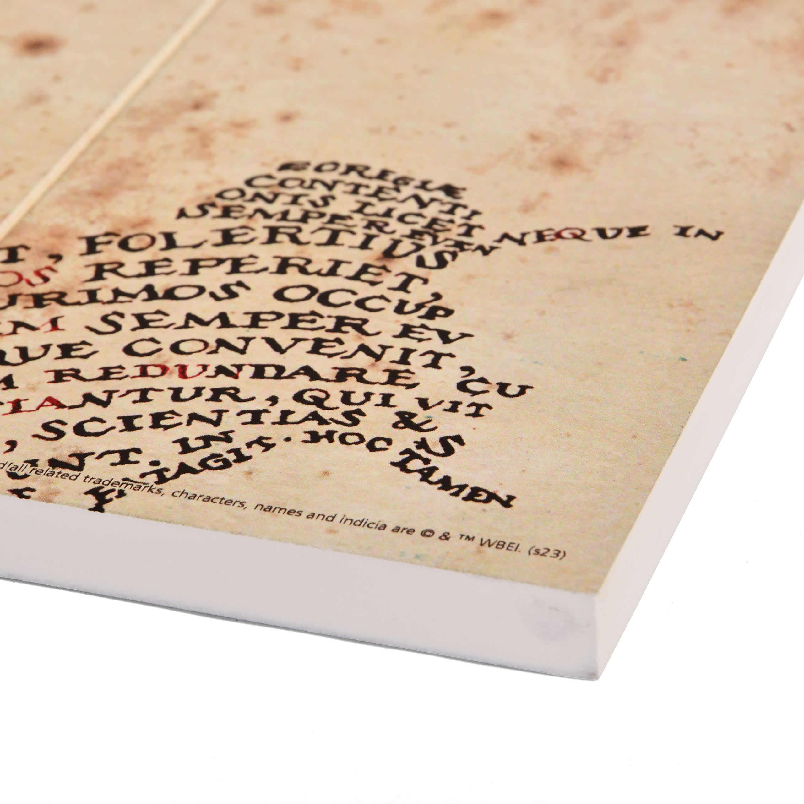 Harry Potter - Marauder's Map Wanddecoratie Hout