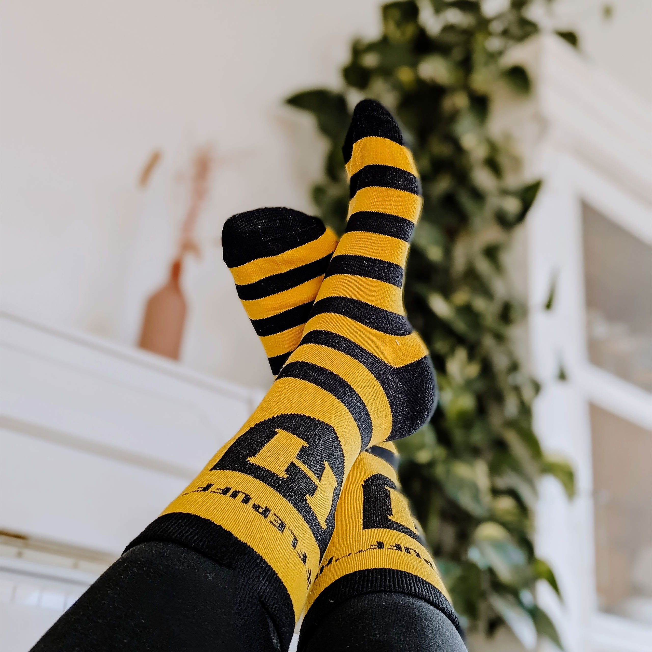 Harry Potter - Calcetines con logotipo de Hufflepuff amarillo-negro