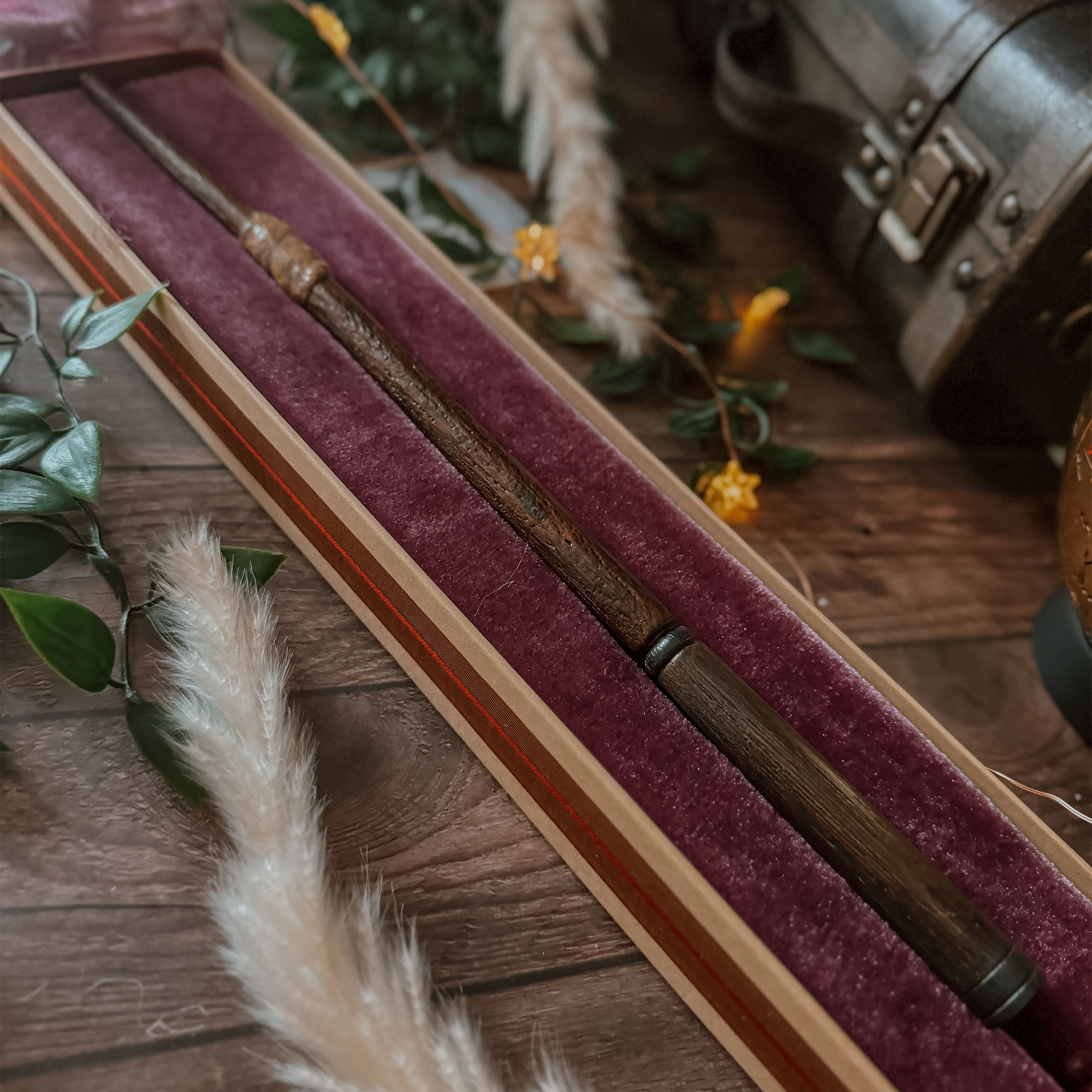 Ron Wemels Eerste Toverstok - Harry Potter First Wands Collection