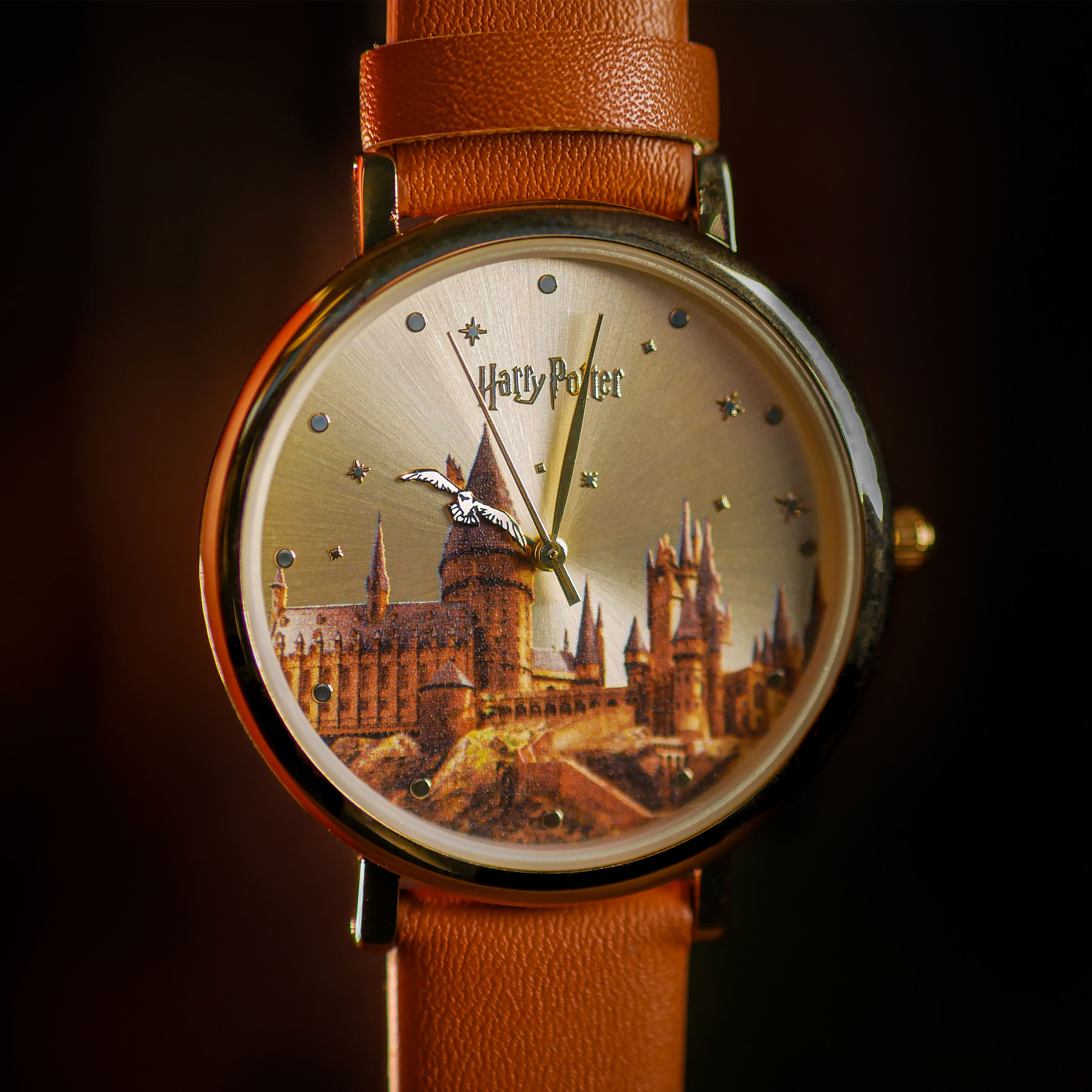 Harry Potter - Hogwarts Castle wrist watch