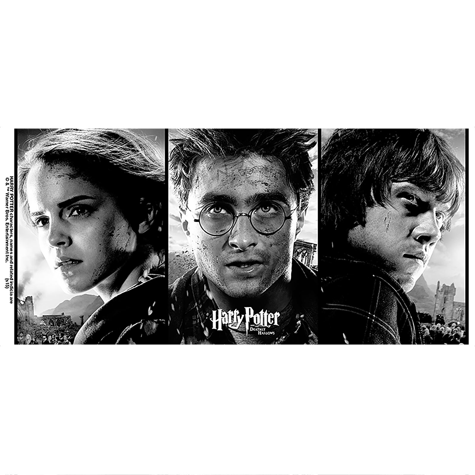 Harry Potter - Drie Helden Mok
