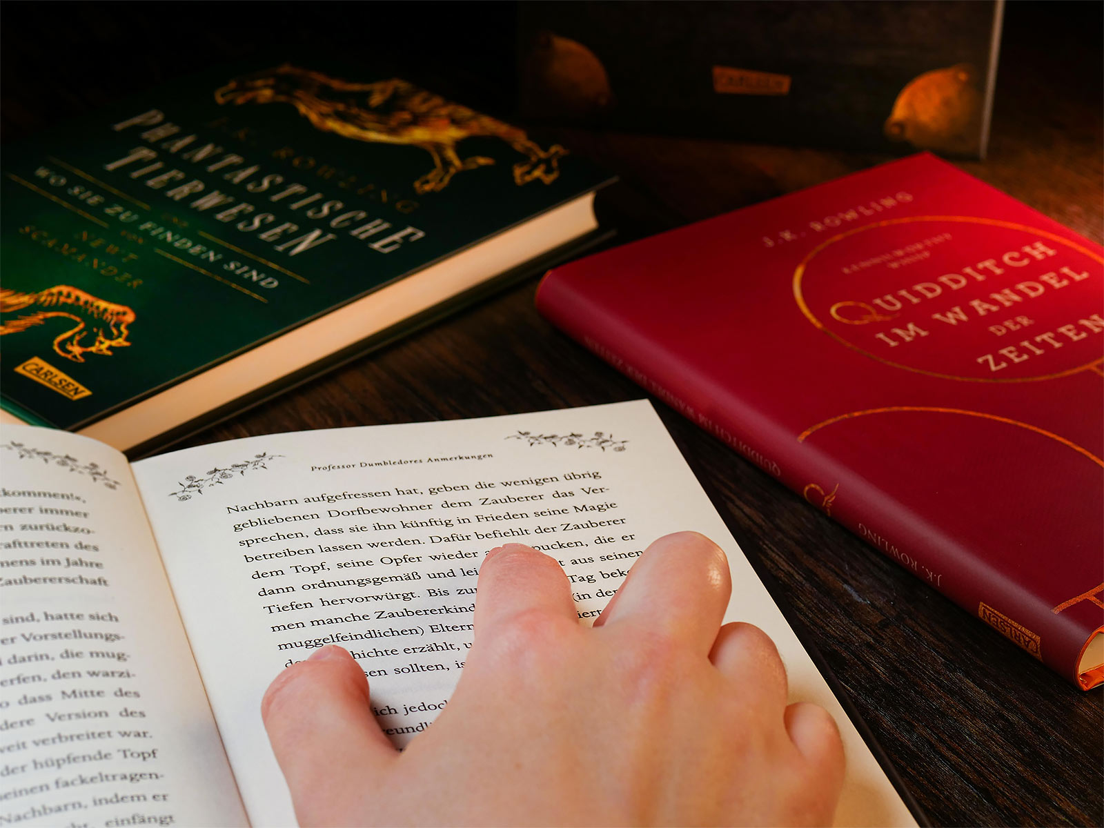 Harry Potter - Les livres scolaires de Poudlard dans un coffret