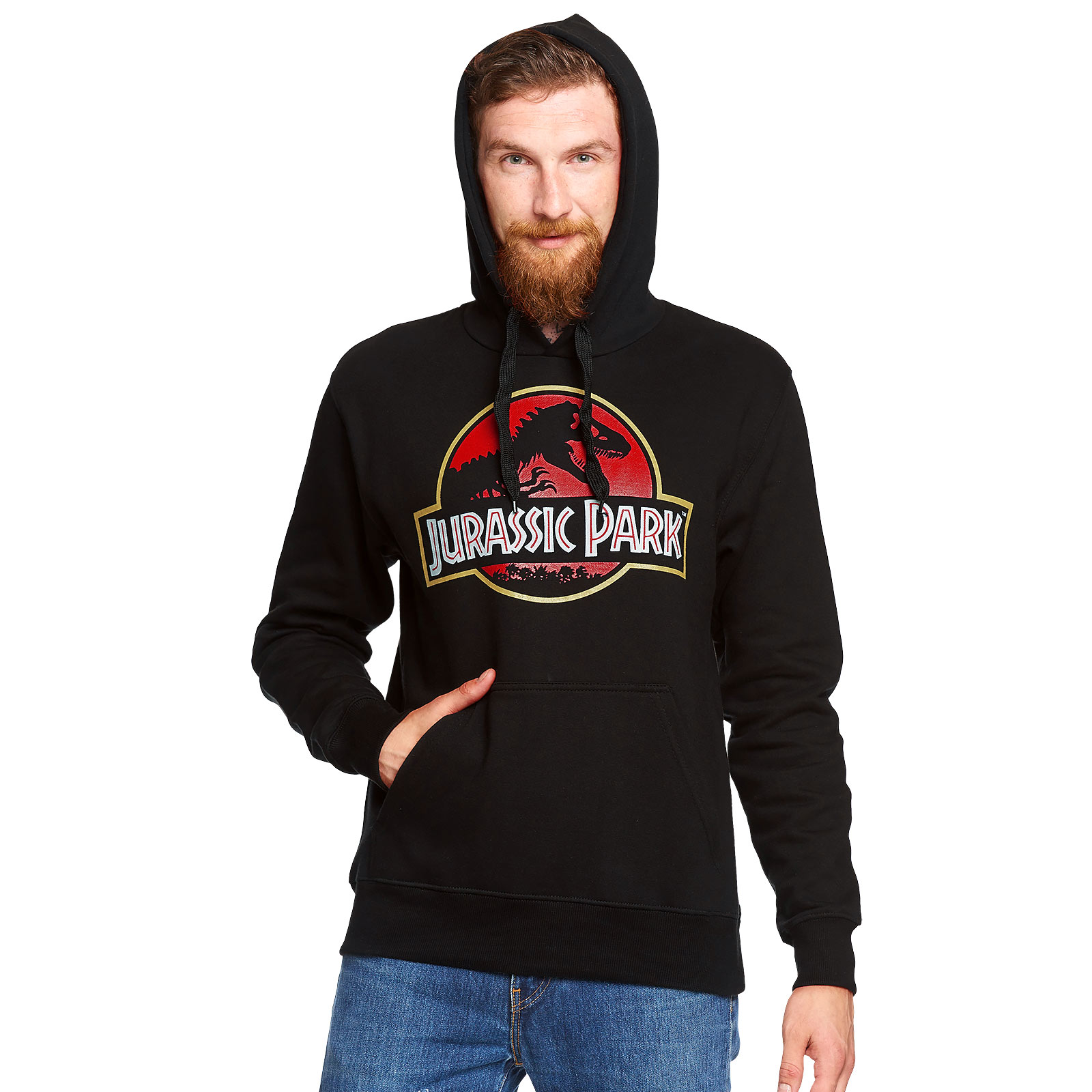 Jurassic Park - Movie Logo Hoodie schwarz