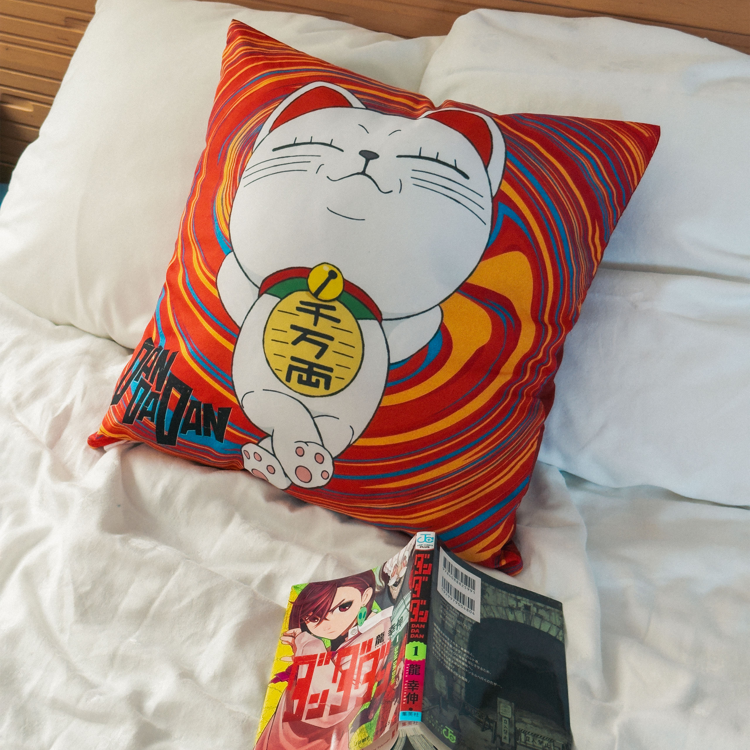 Dandadan - Coussin Turbo Granny