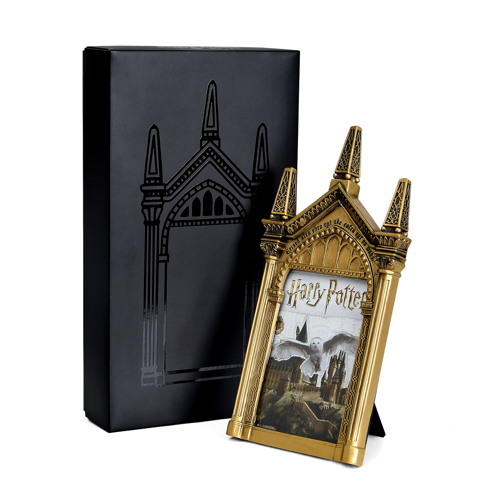 Harry Potter - Mirror of Erised Picture Frame