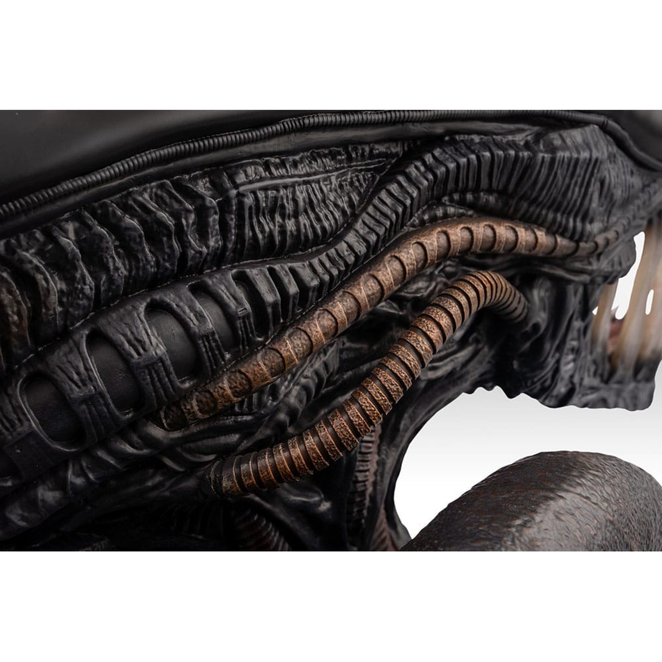 Alien Romulus Bust 1/1 Xenomorph 53 cm | Elbenwald