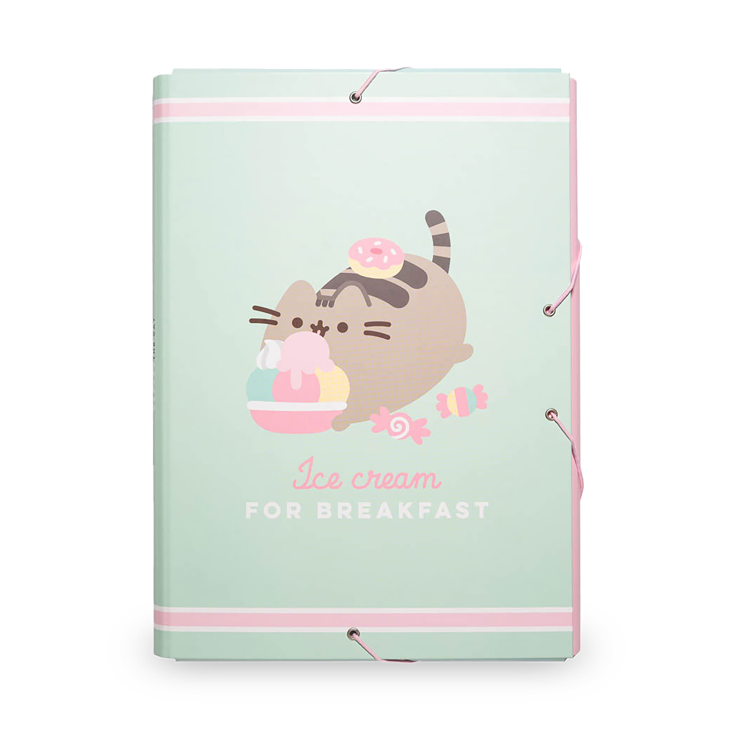 Pusheen - Ice cream Document Folder