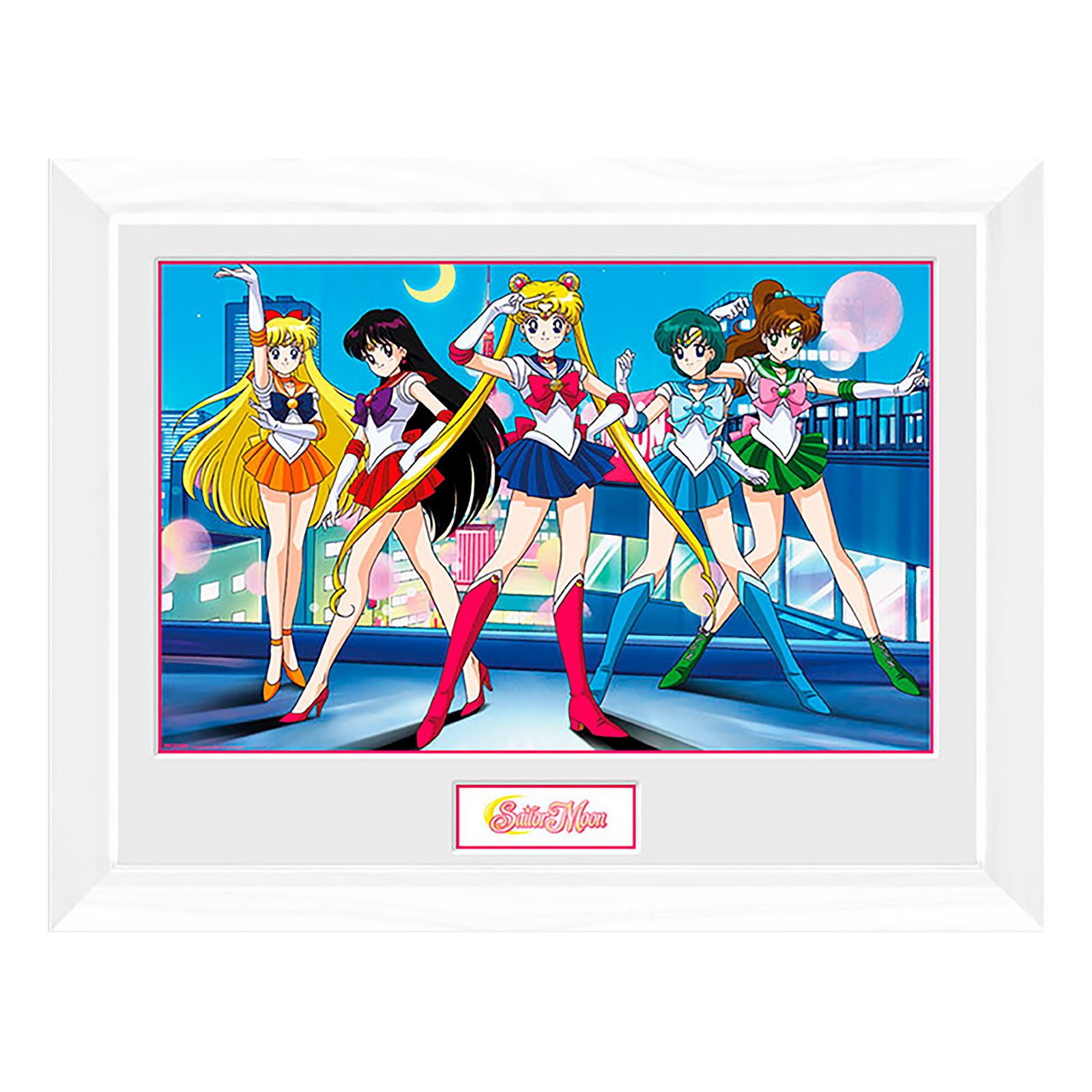 Sailor Moon - Groep Wandafbeelding
