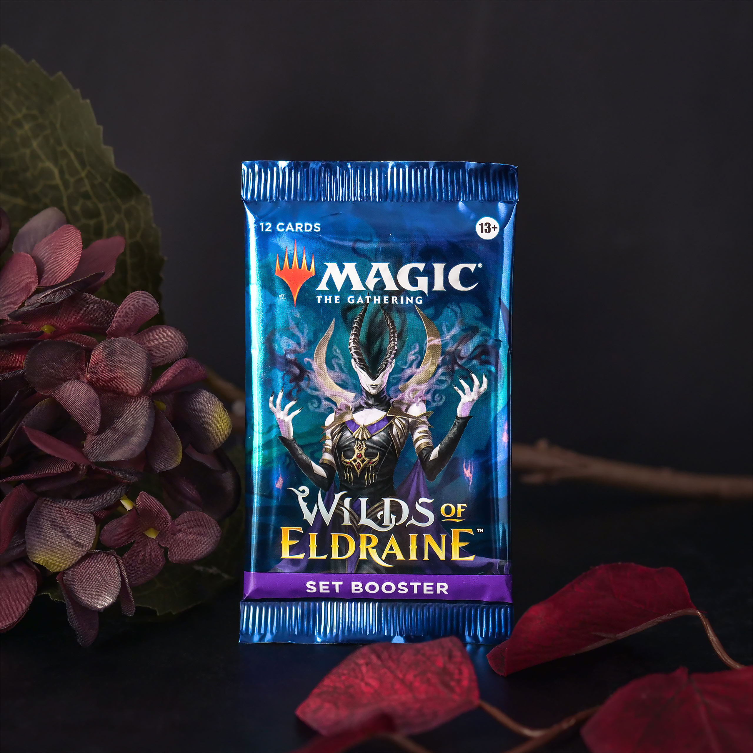 Wilds of Eldraine Set Booster englische Version - Magic The Gathering