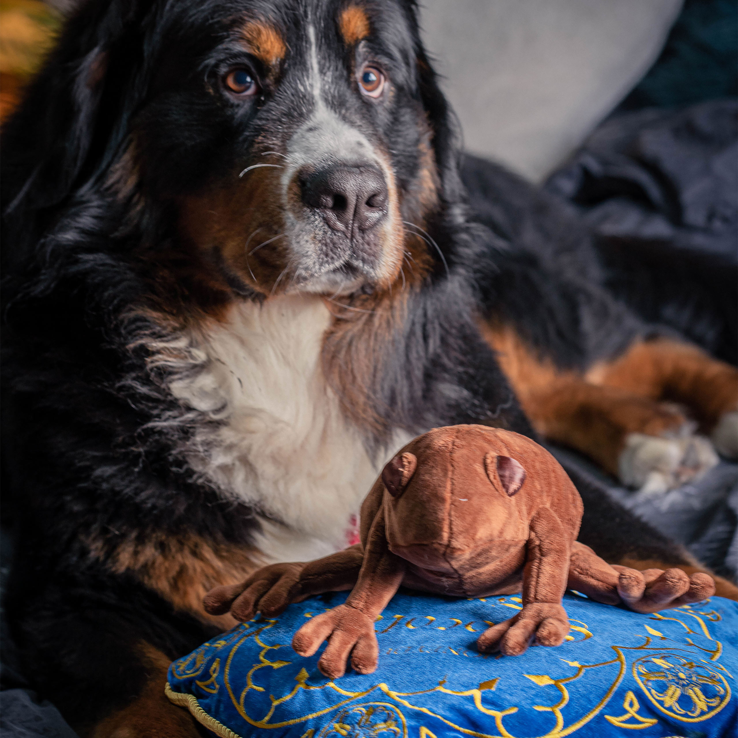 Harry Potter - Cojín de Rana de Chocolate con Figura de Peluche