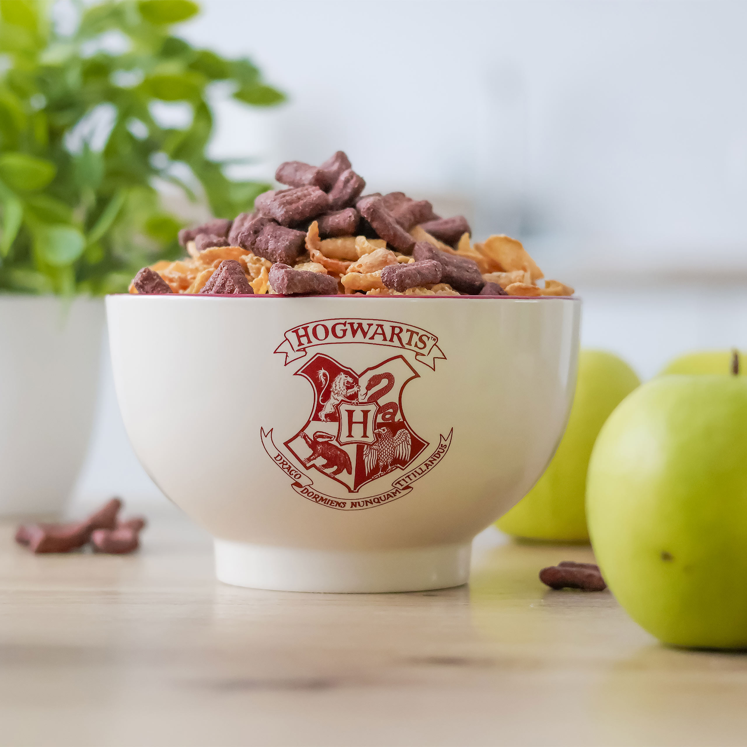 Harry Potter - Hogwarts Cereal Bowl