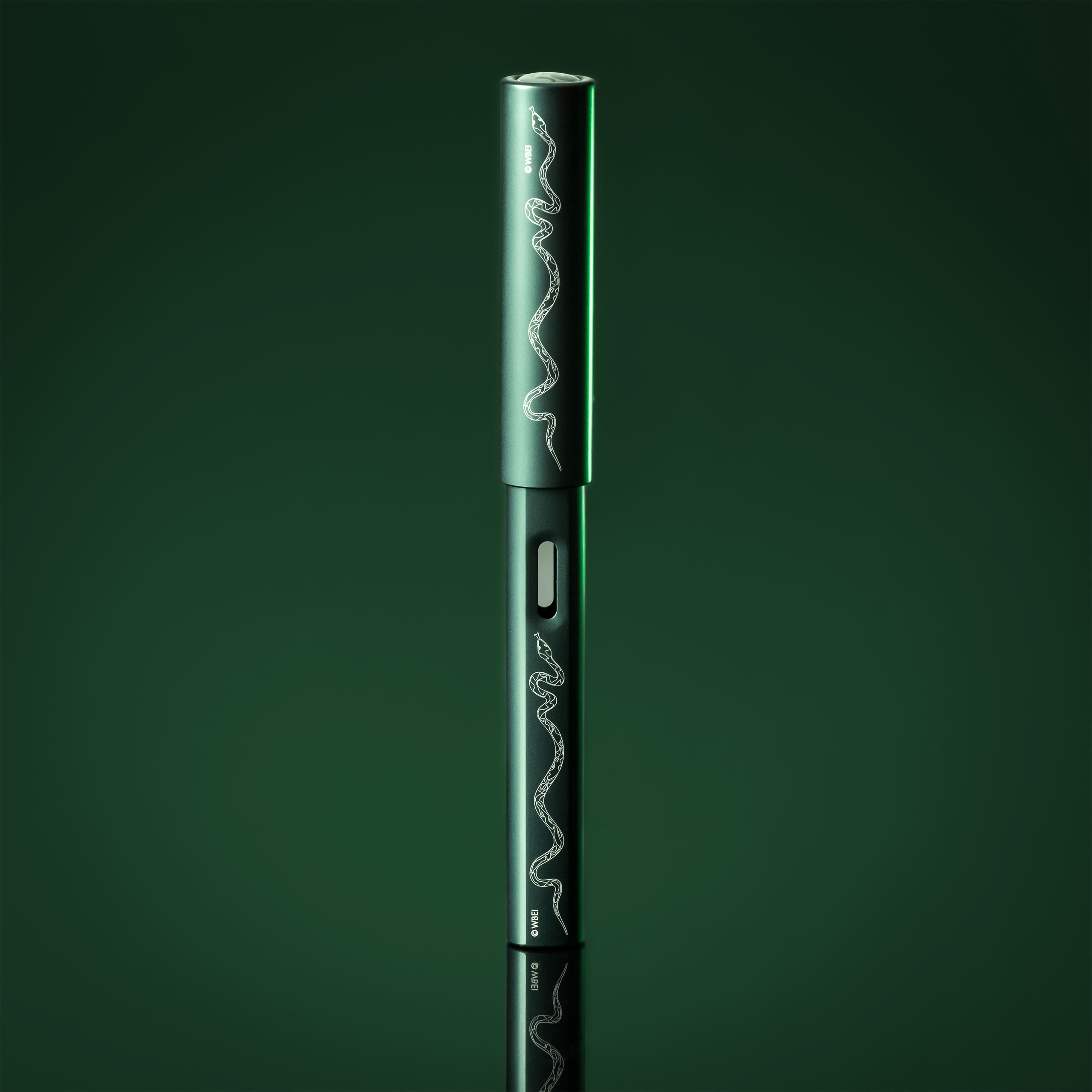 Harry Potter - Slytherin LAMY AL-star Fountain Pen