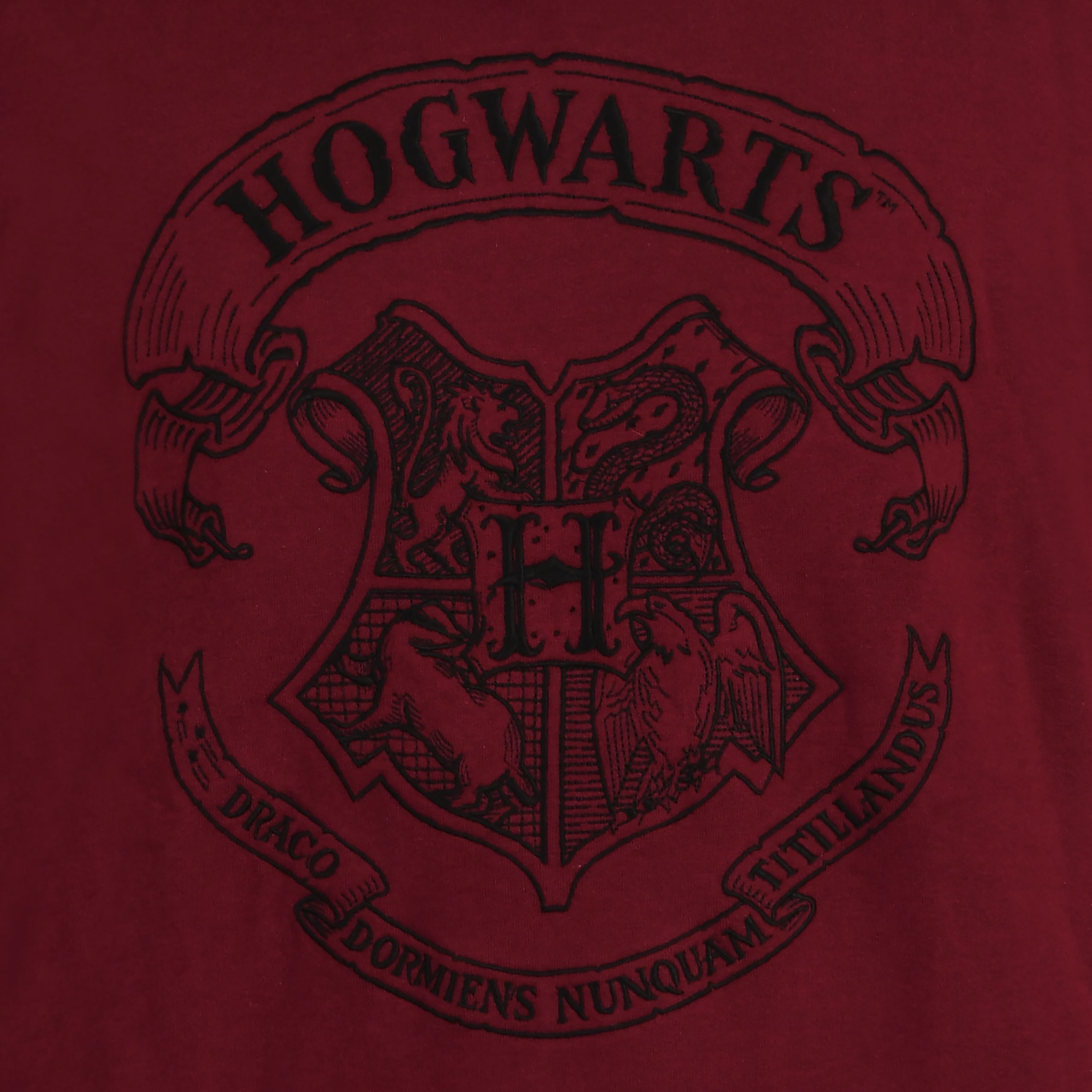 Harry Potter - Sweat à capuche logo Hogwarts rouge