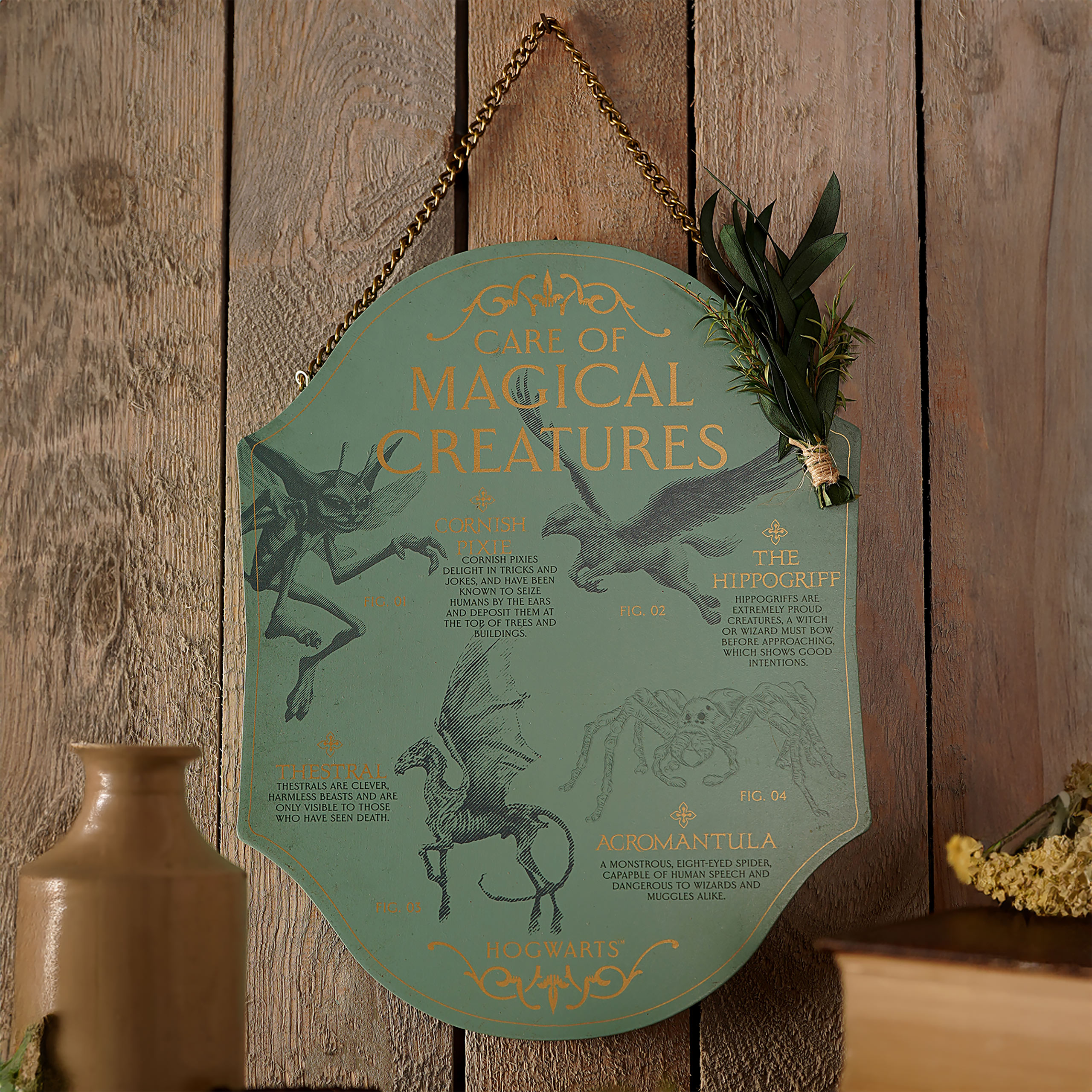 Harry Potter - Herbology Kräuterkunde Magische Kreaturen Wandbild Holz