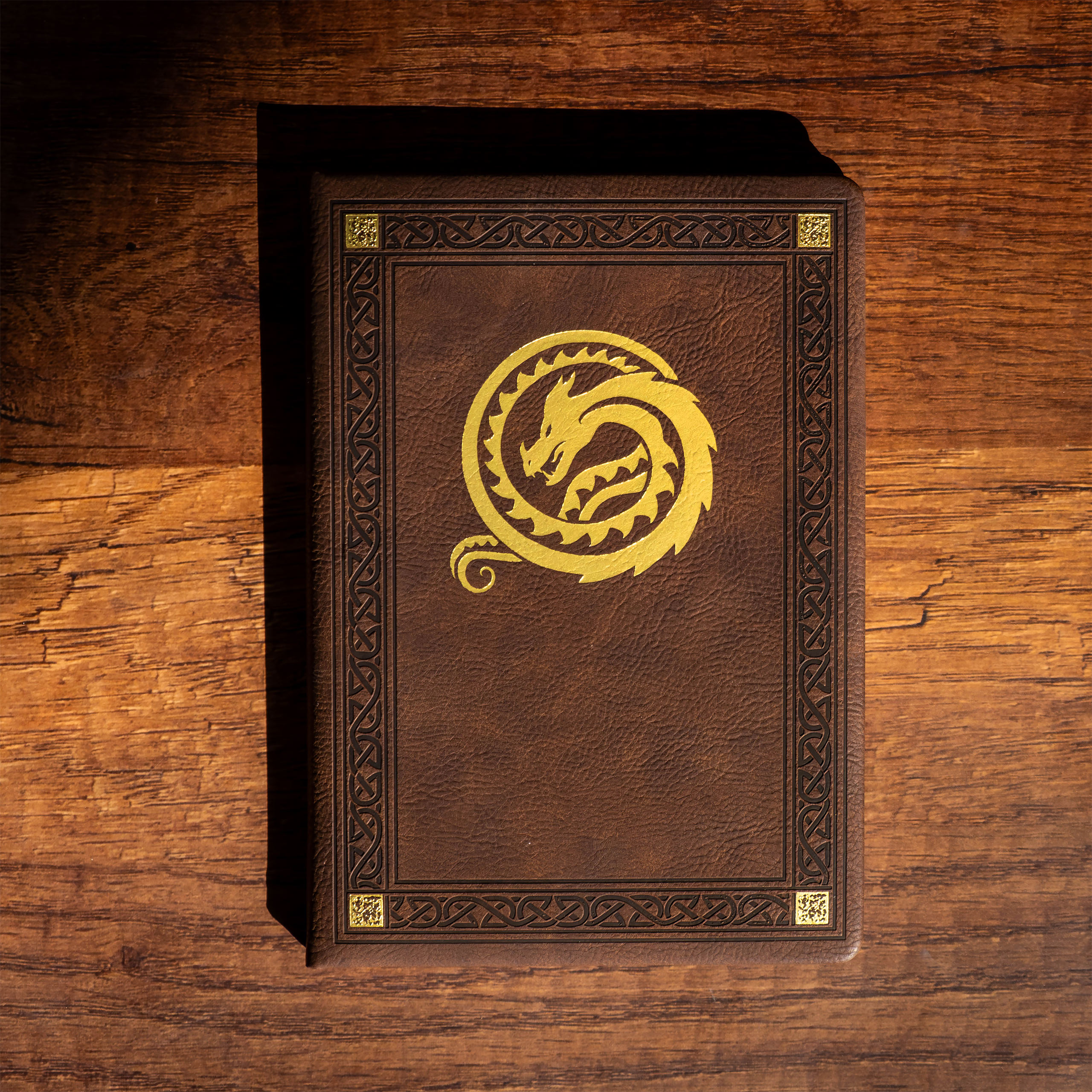 Dragons - Carnet Dragon