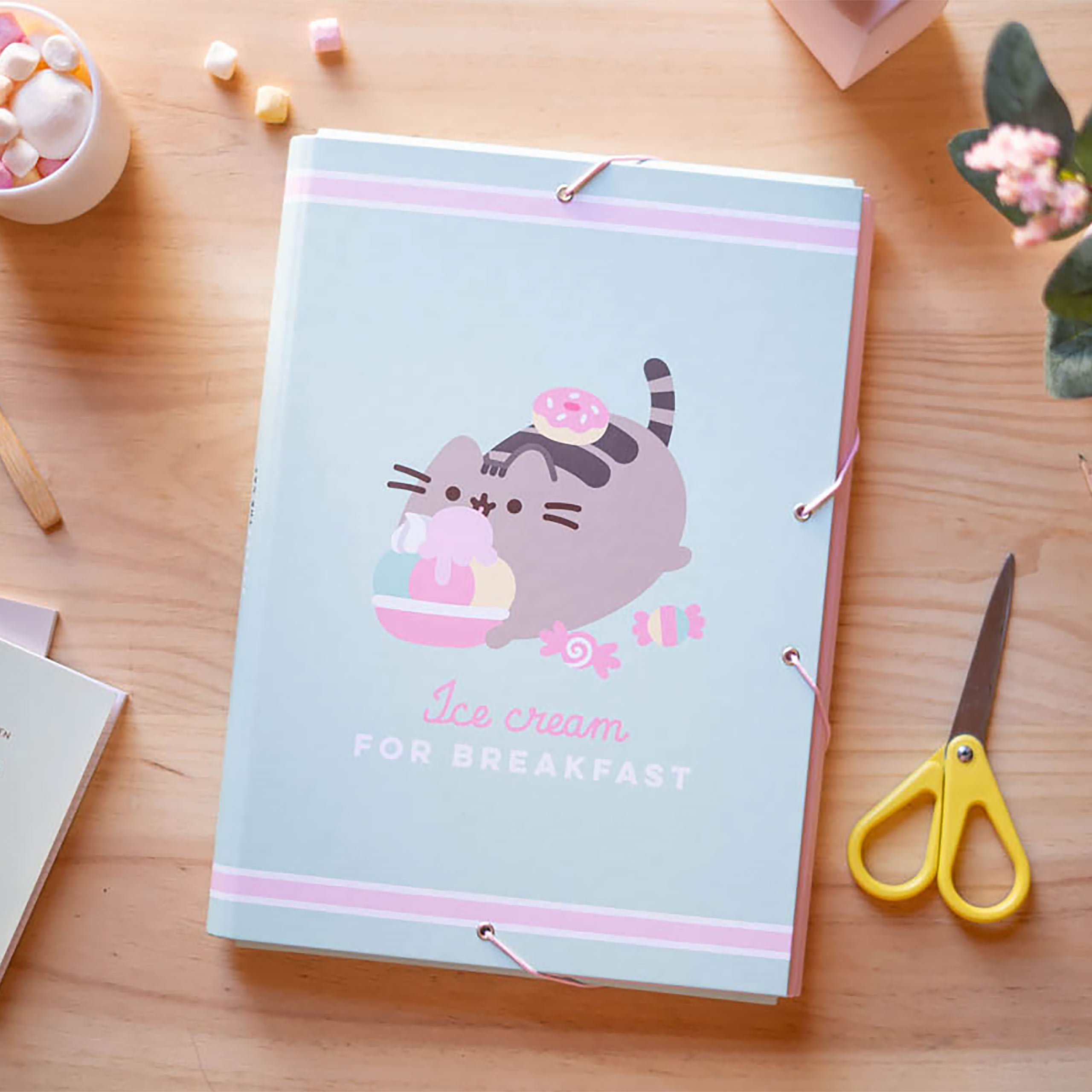 Pusheen - Ice cream Document Folder