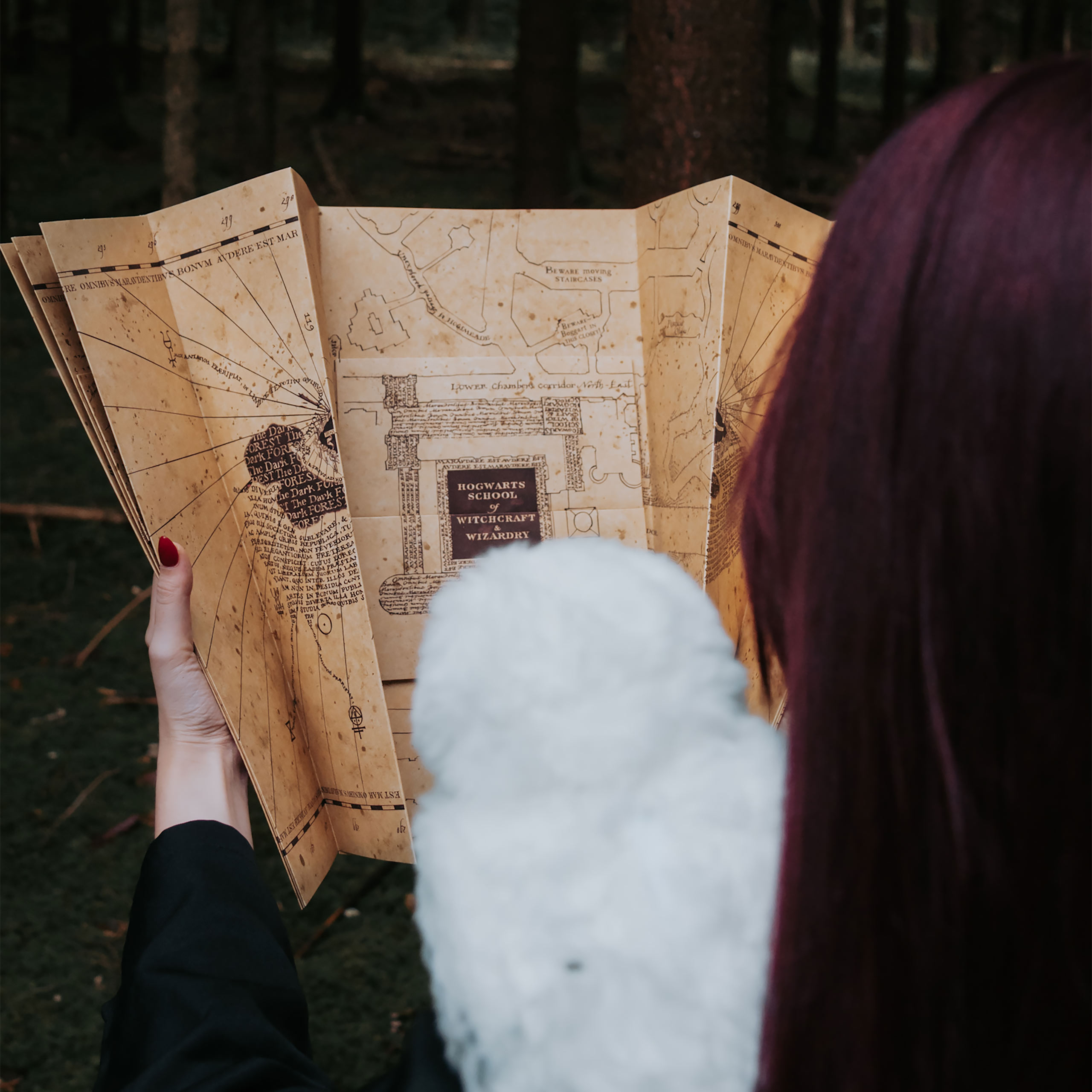 Mappa del Malandrino - Harry Potter