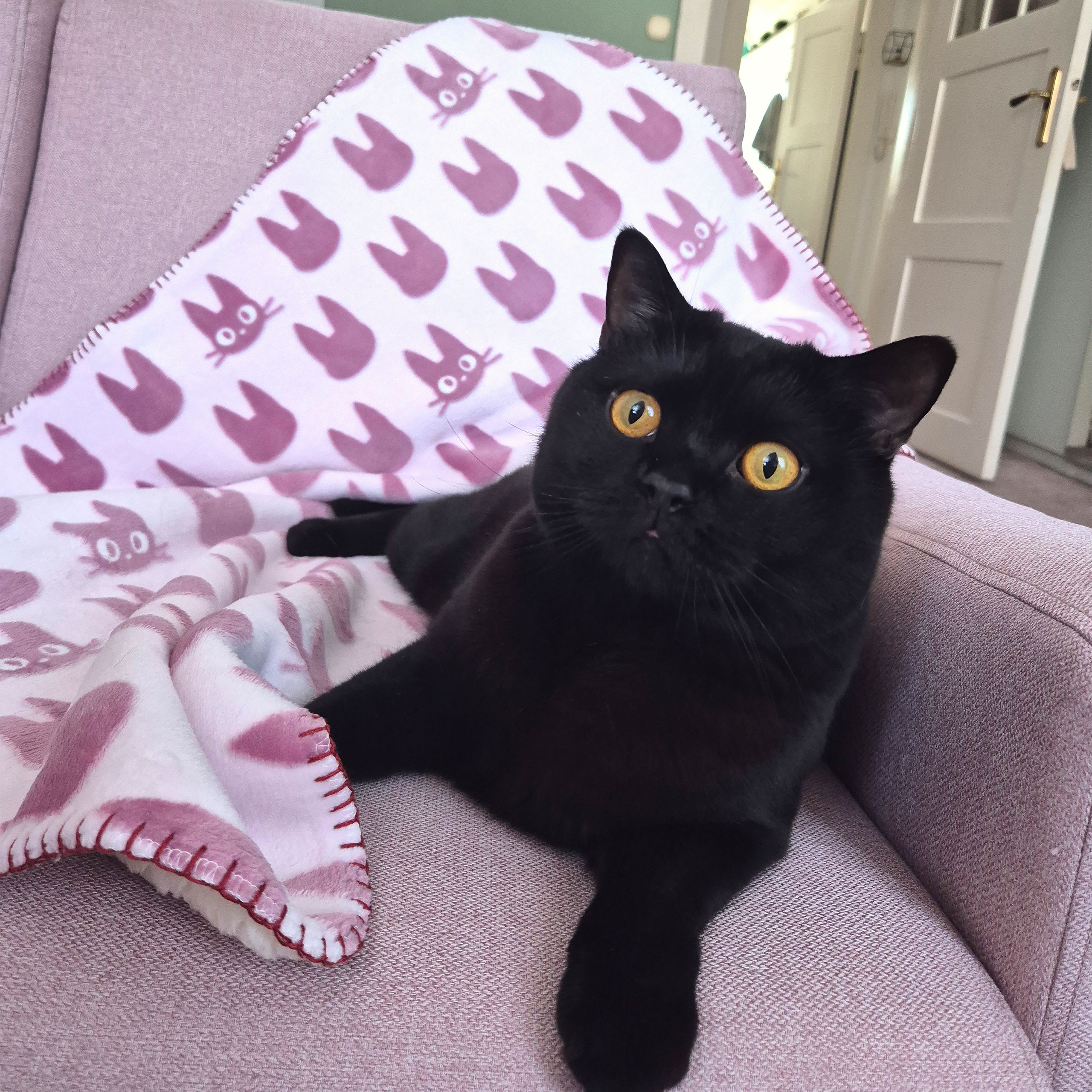 Kikis kleiner Lieferservice - Jiji Silhouette Flauschdecke mit Teddyfell