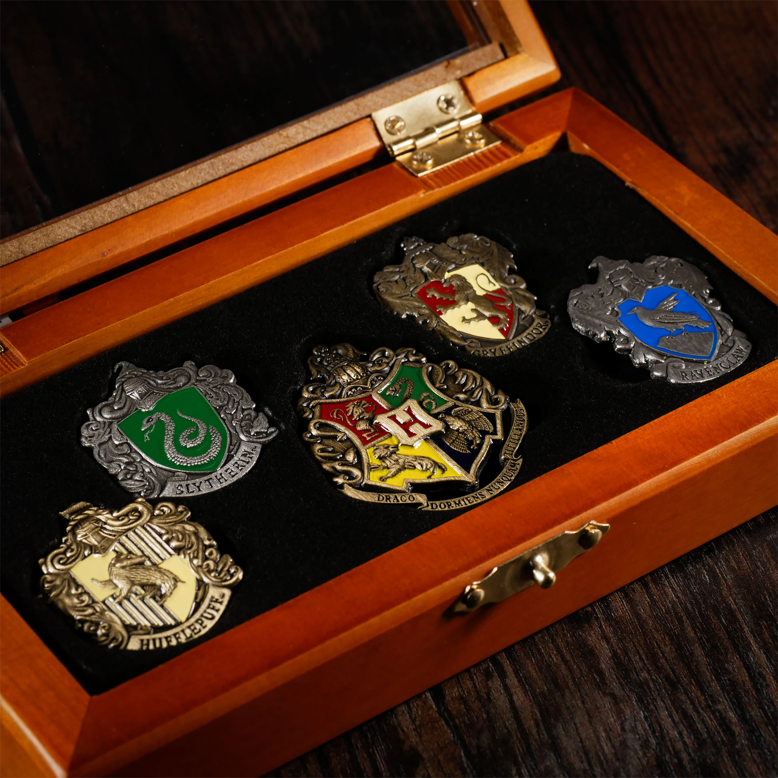 Hogwarts Häuser - Pins