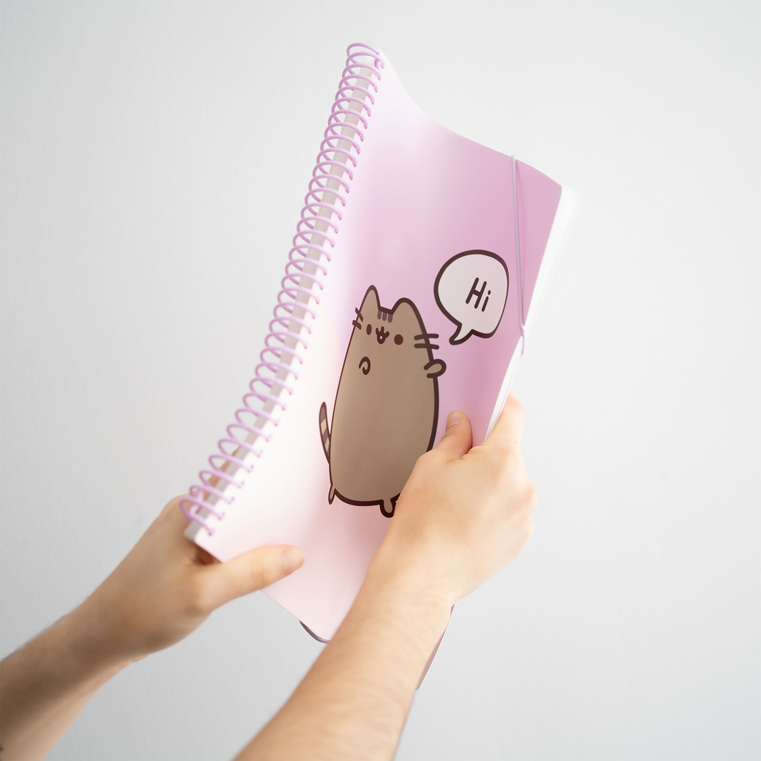 Pusheen - Hi & Bye Carpeta A4