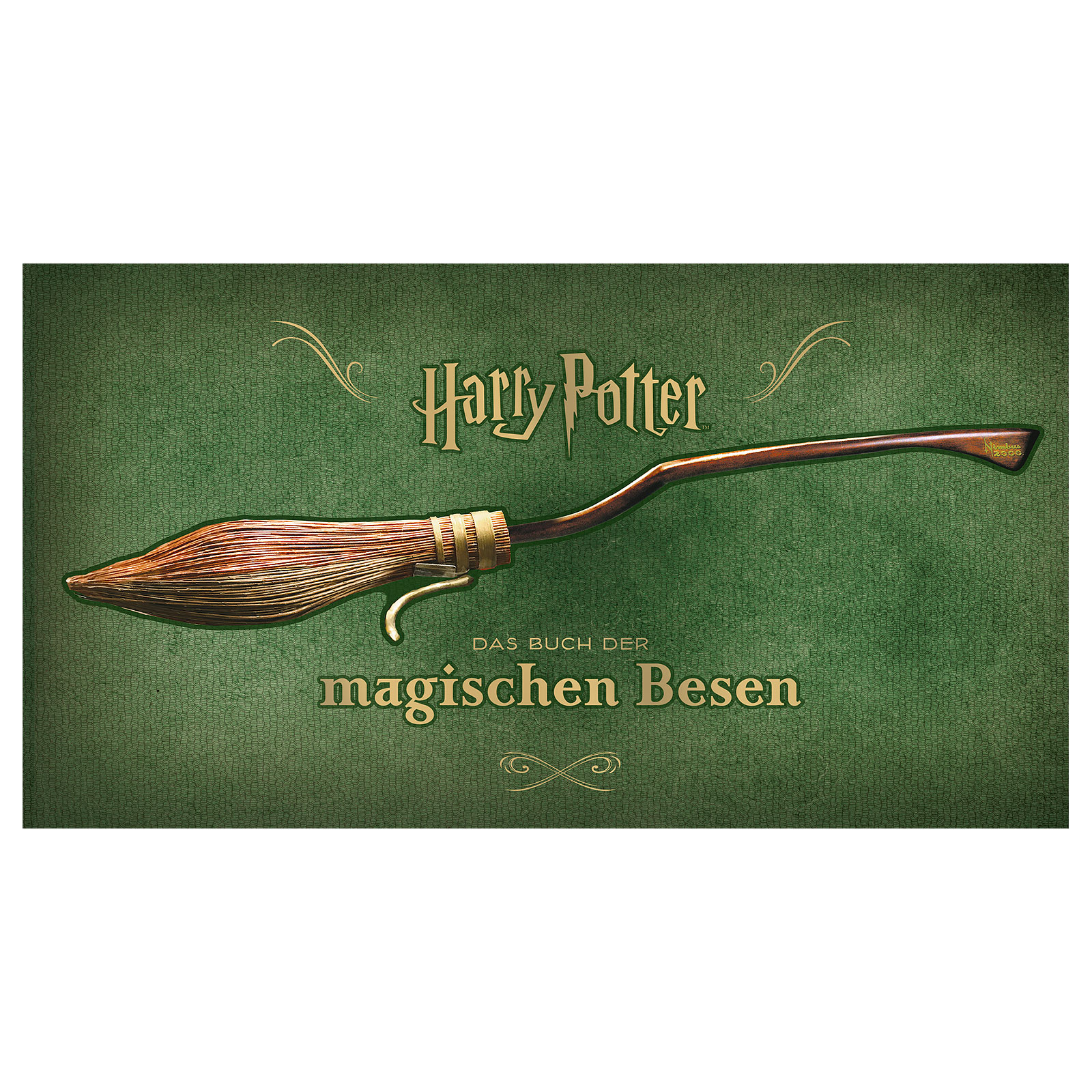 Harry Potter - Het Boek van de Magische Bezems