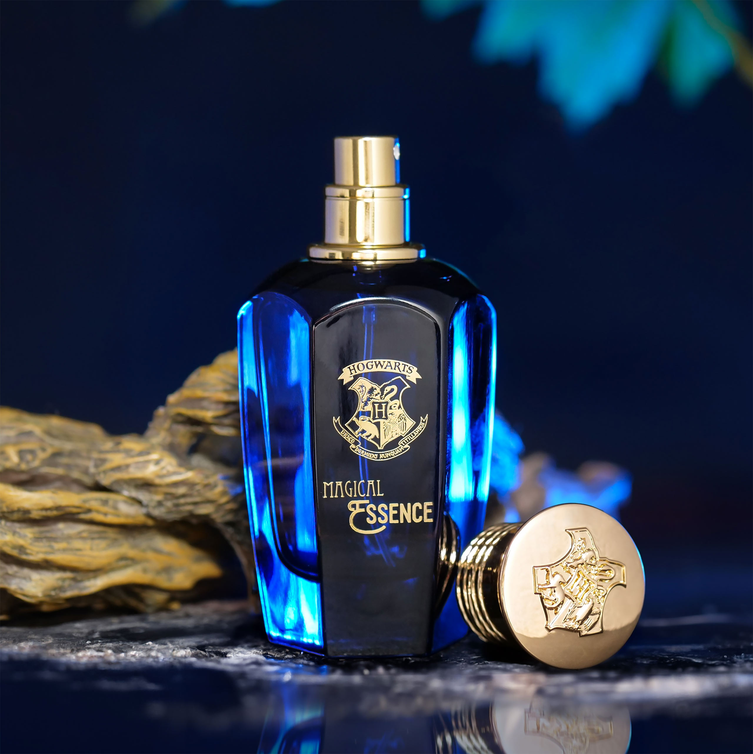 Harry Potter - Magical Essence Wisdom Eau de Parfum