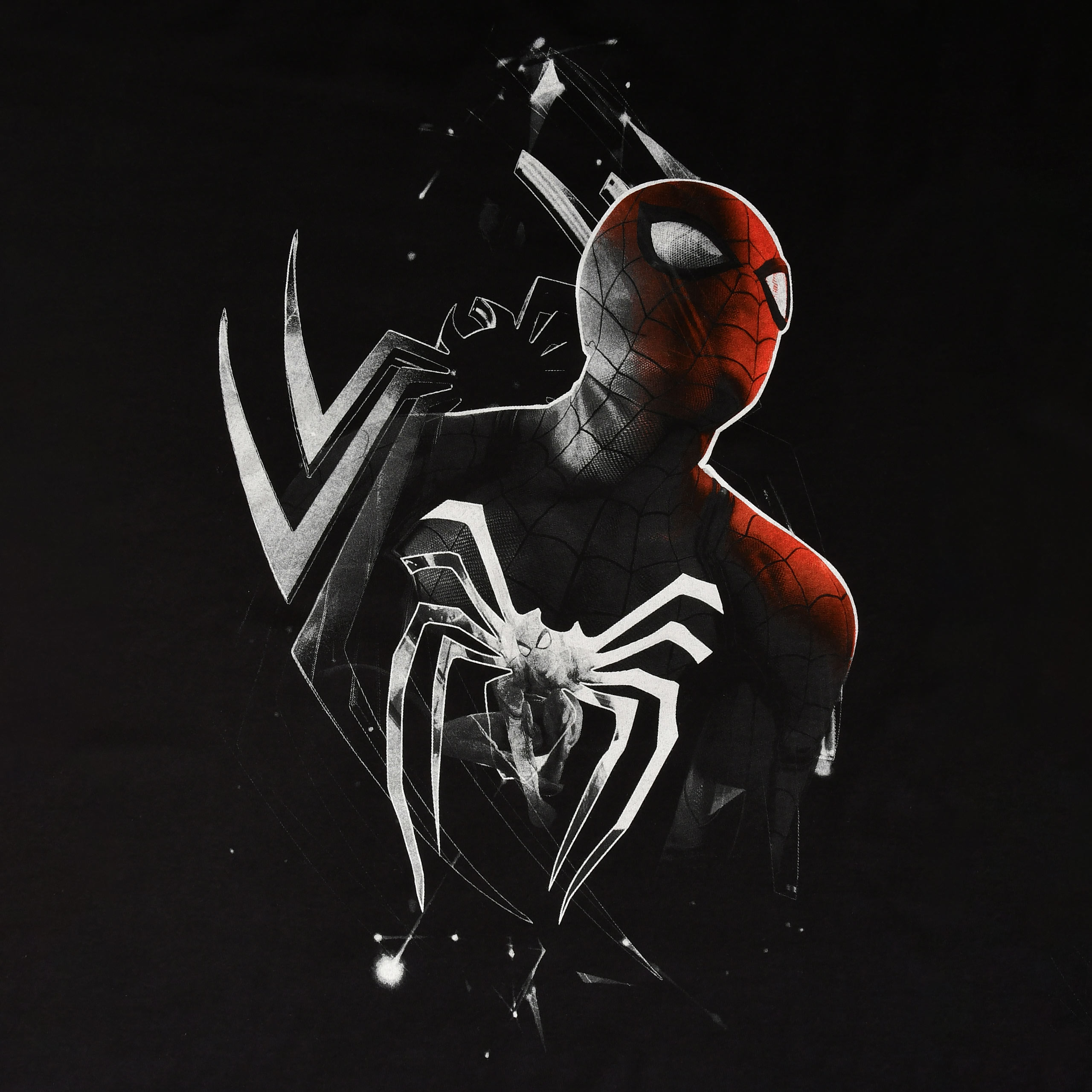Spider-Man - Dimension T-Shirt Zwart