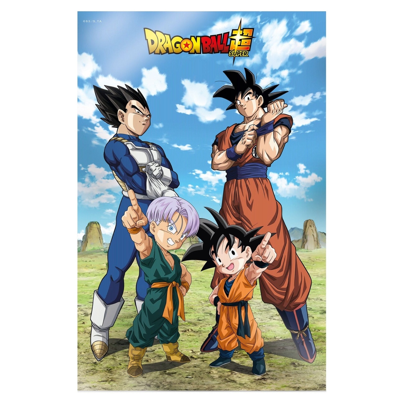 Dragon Ball Super Poster 3D Battle of Gods Goku Vegeta Famille 38 x 58 cm