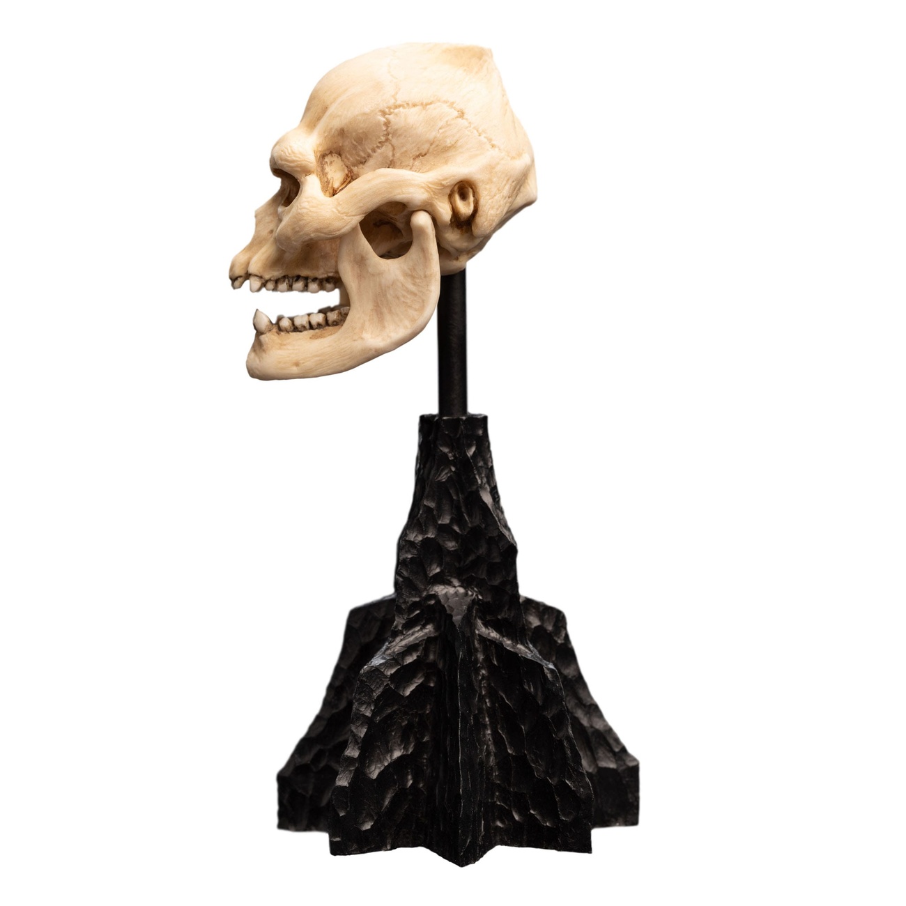 Le Seigneur des Anneaux - Mini statuette Crâne de Lurtz