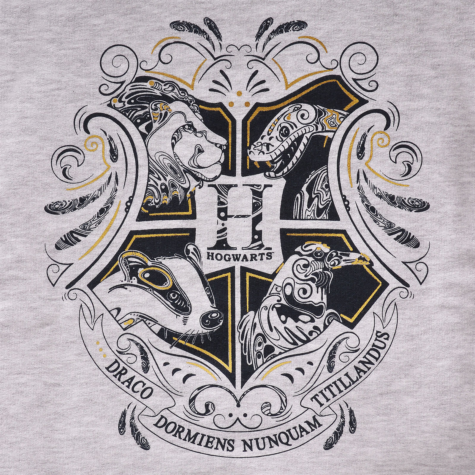 Harry Potter - Hogwarts Kinder Hoodie grau