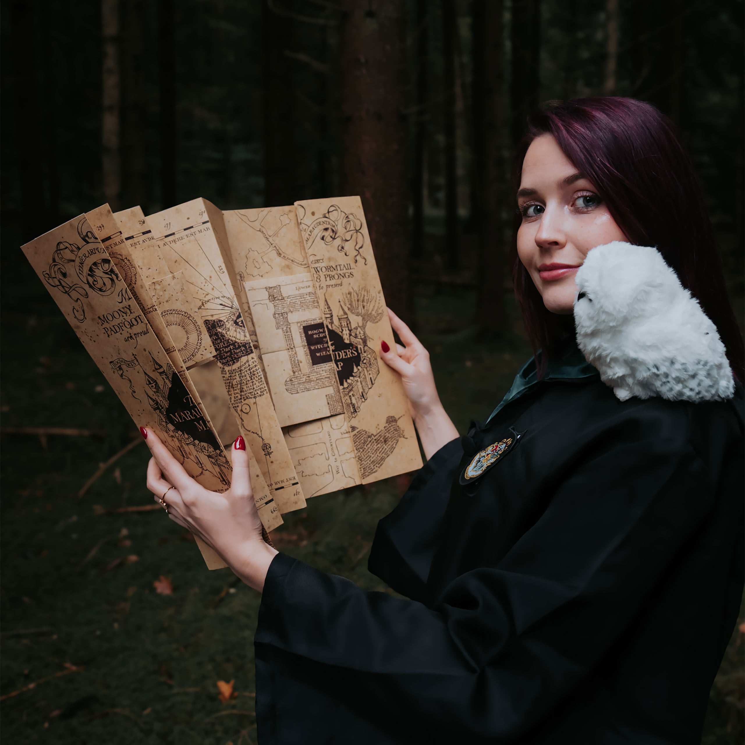 Mappa del Malandrino - Harry Potter