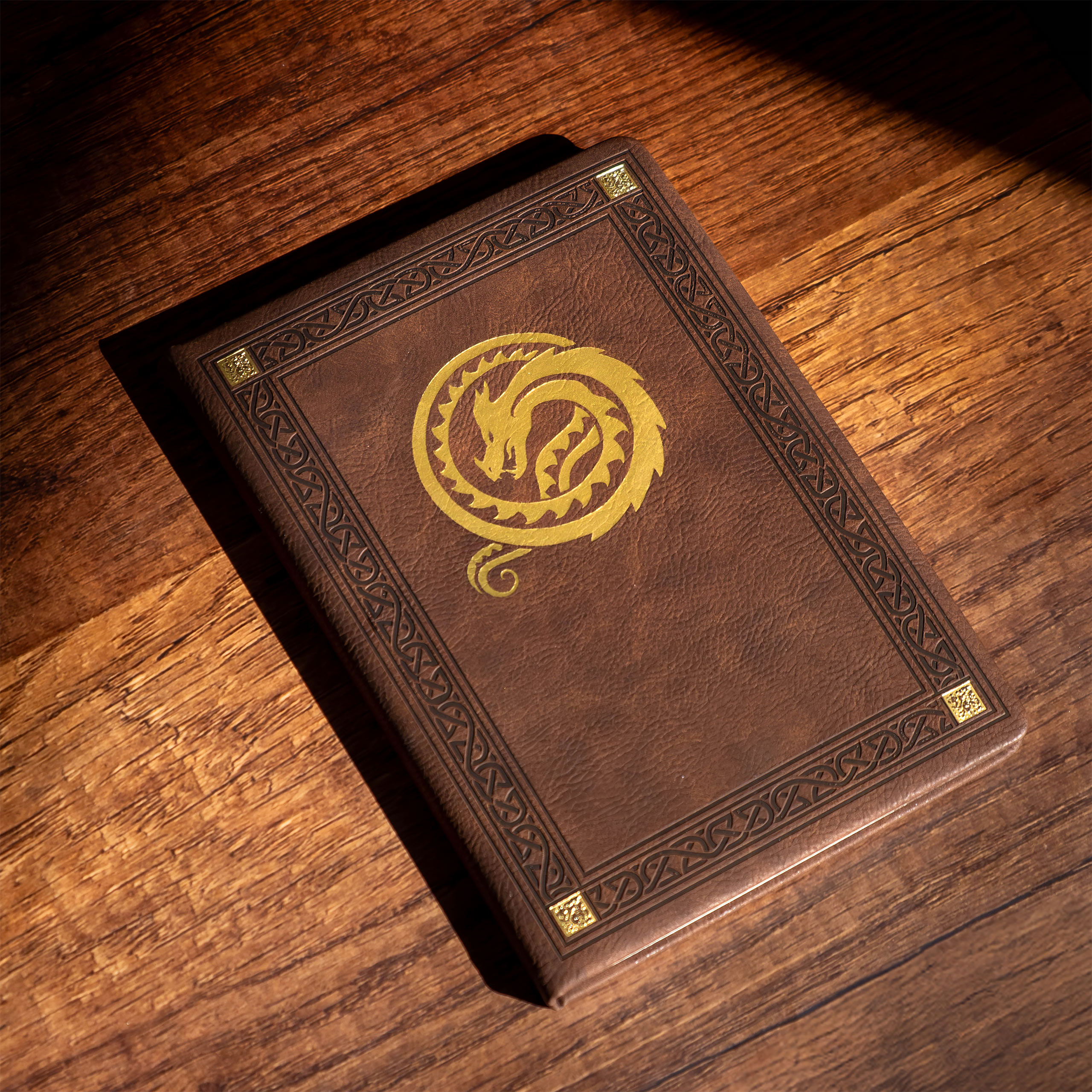 Dragons - Carnet Dragon