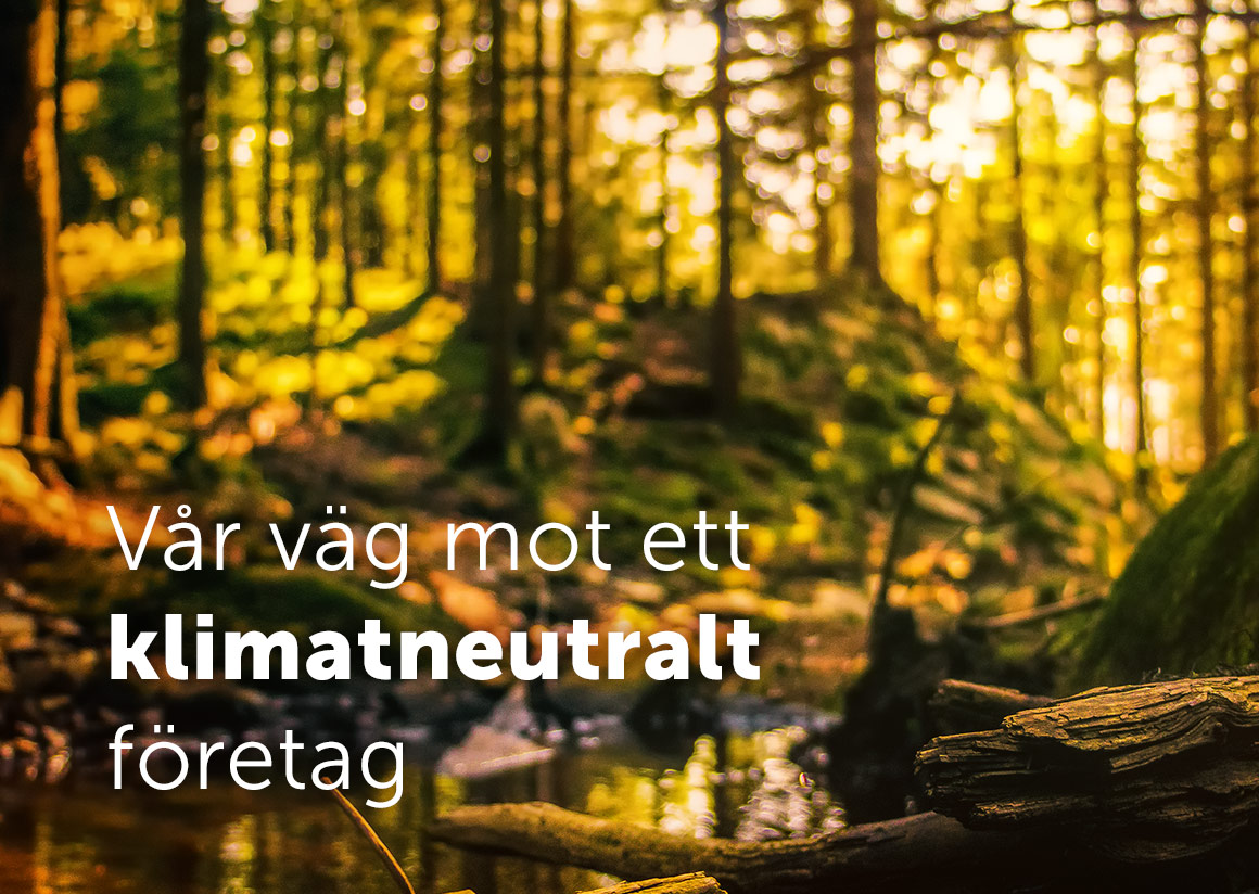 Vår väg mot ett klimatneutralt företag – bild på skog med en bäck i solnedgången