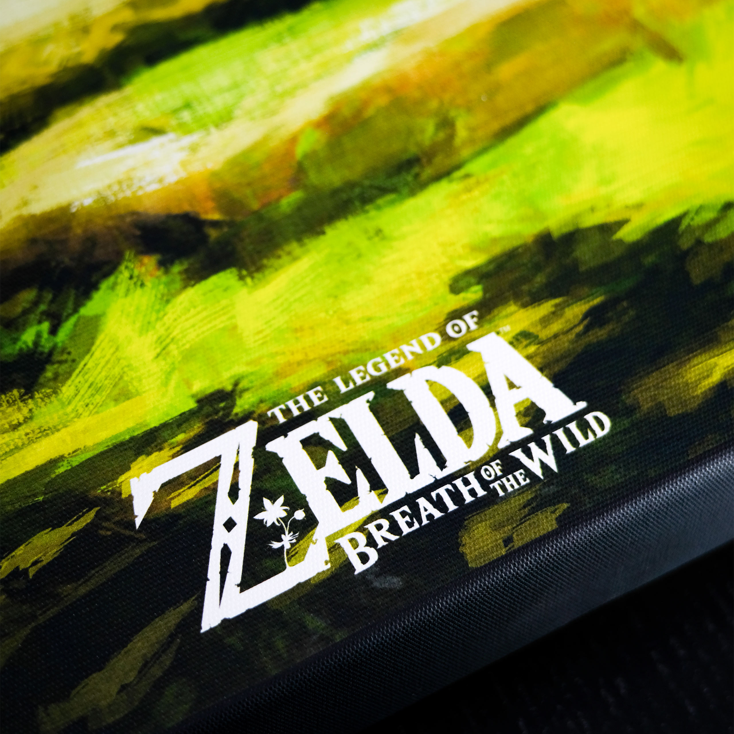 Zelda - Masterschwert Wandbild mit Licht