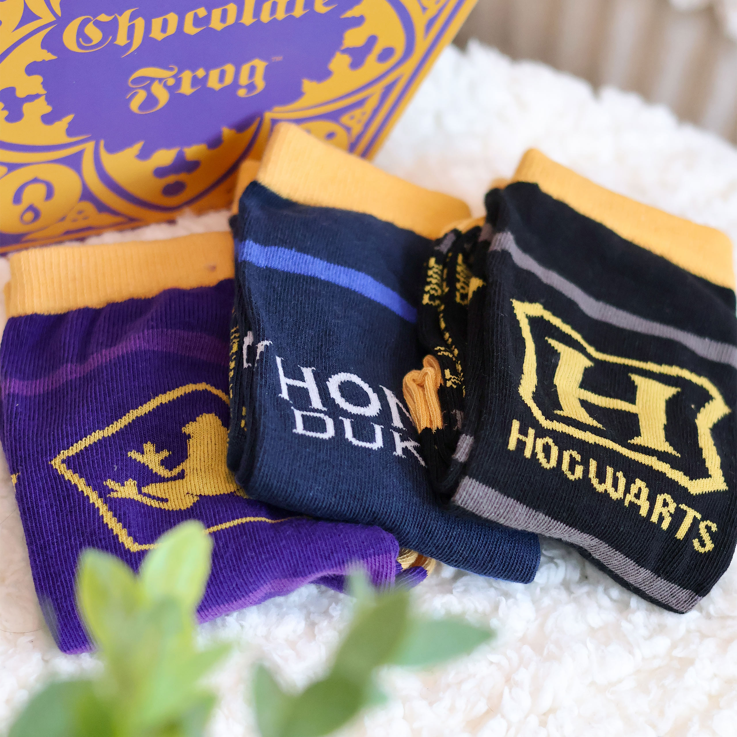 Harry Potter - Socken 3er Set in Schokofrosch Box