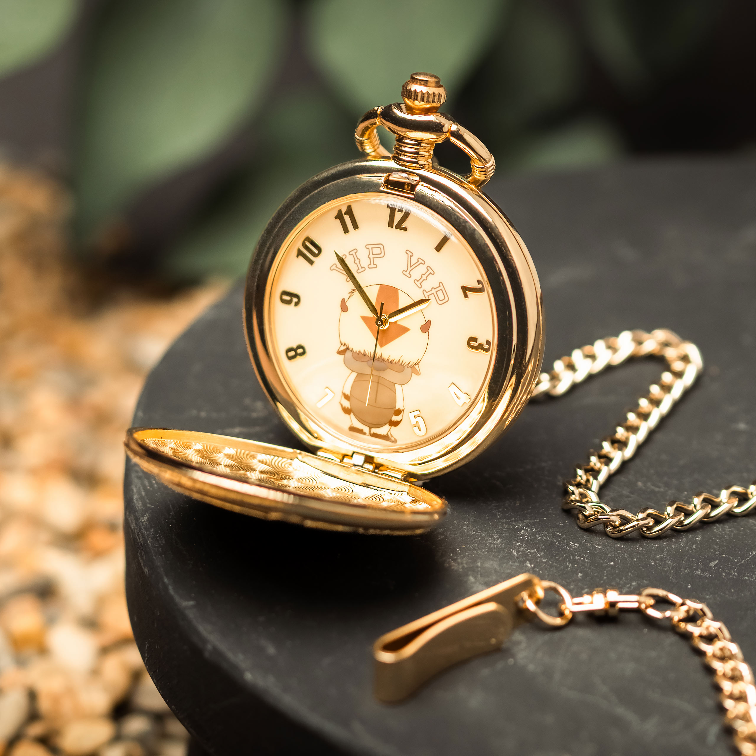 Avatar: Legenda Aanga - Zegarek kieszonkowy Appa