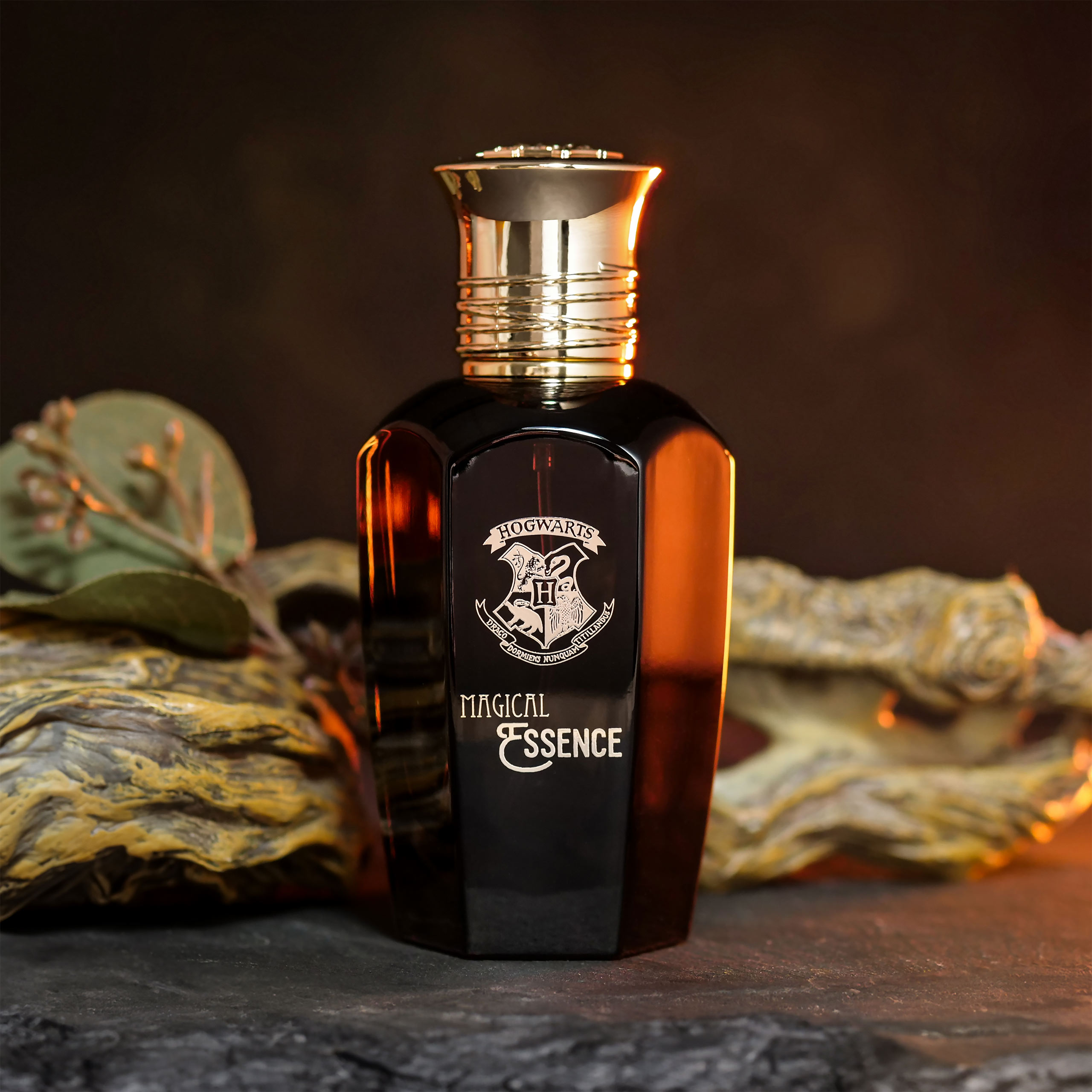 Harry Potter - Magical Essence Ambiton Eau de Parfum