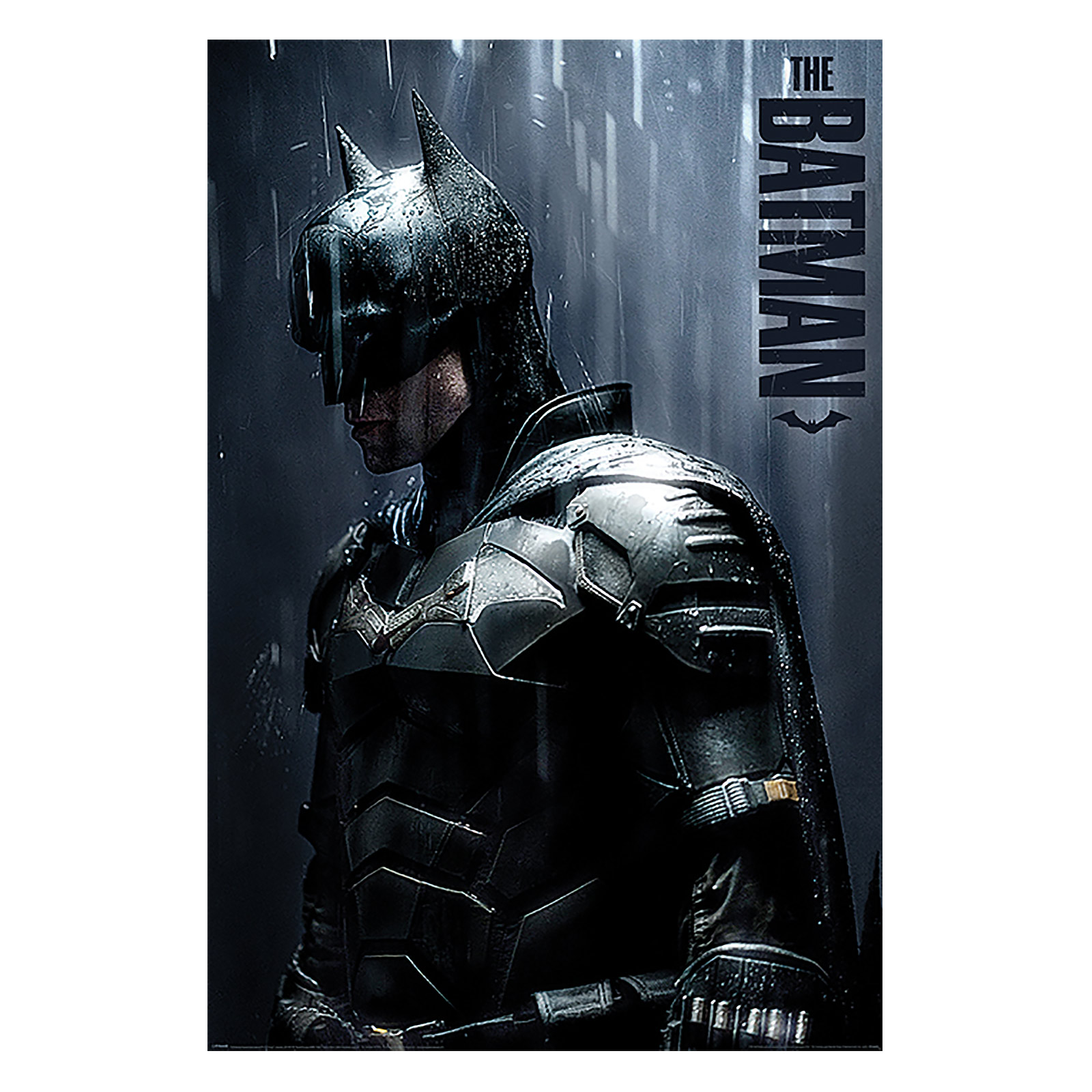 The Batman - Downpour Maxi Poster
