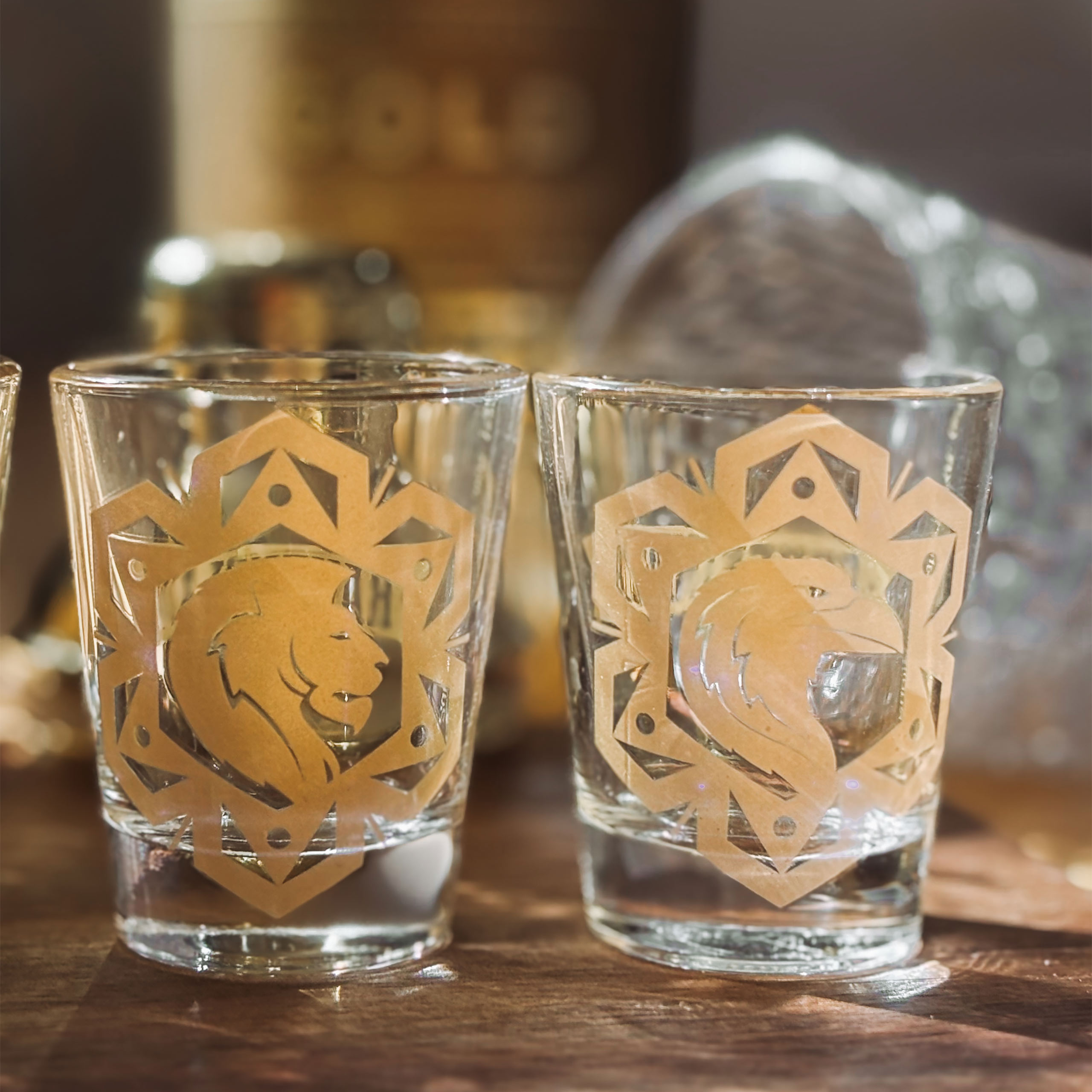 Harry Potter - Magic and Mayhem glazen set van 4